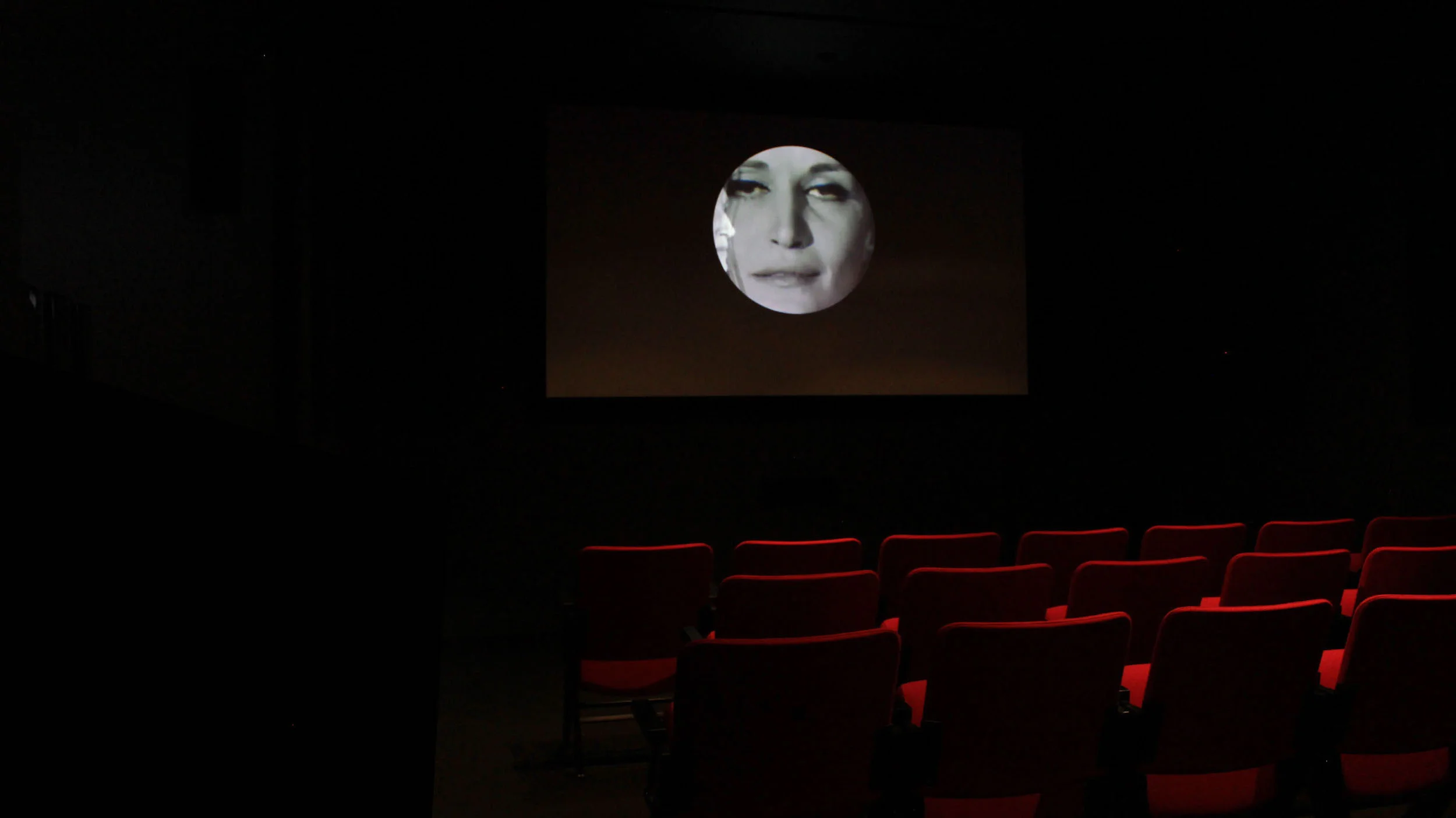 © Ali El-Darsa, The Color Remains the Same (2015). Vue de l’exposition. Photo : Veronica Mockler.