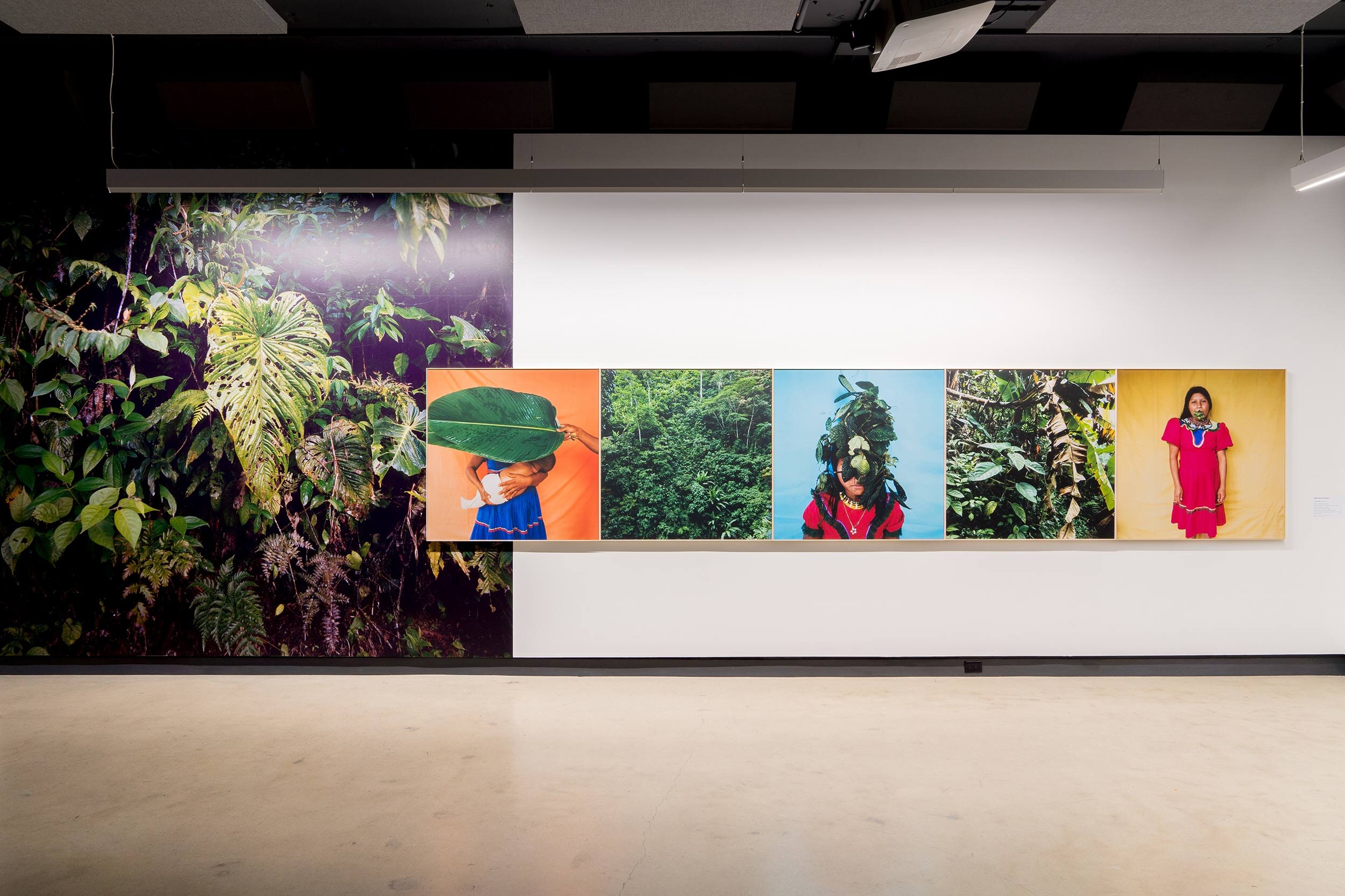  © Karen Paulina Biswell, série  Nama Bu  (2014). Vue d’installation de l’exposition  Libertad , Dazibao (2019). Dans le cadre de MOMENTA | Biennale de l’image. Photo : Jean-Michael Seminaro. 