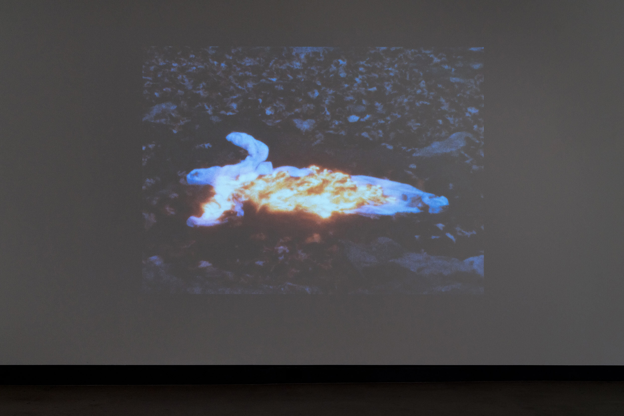  © Ana Mendieta,  Alma, Silueta en Fuego  (1975). Vue d’installation de l’exposition  Libertad , Dazibao, 2019. Dans le cadre de MOMENTA | Biennale de l’image. Photo : Jean-Michael Seminaro. 