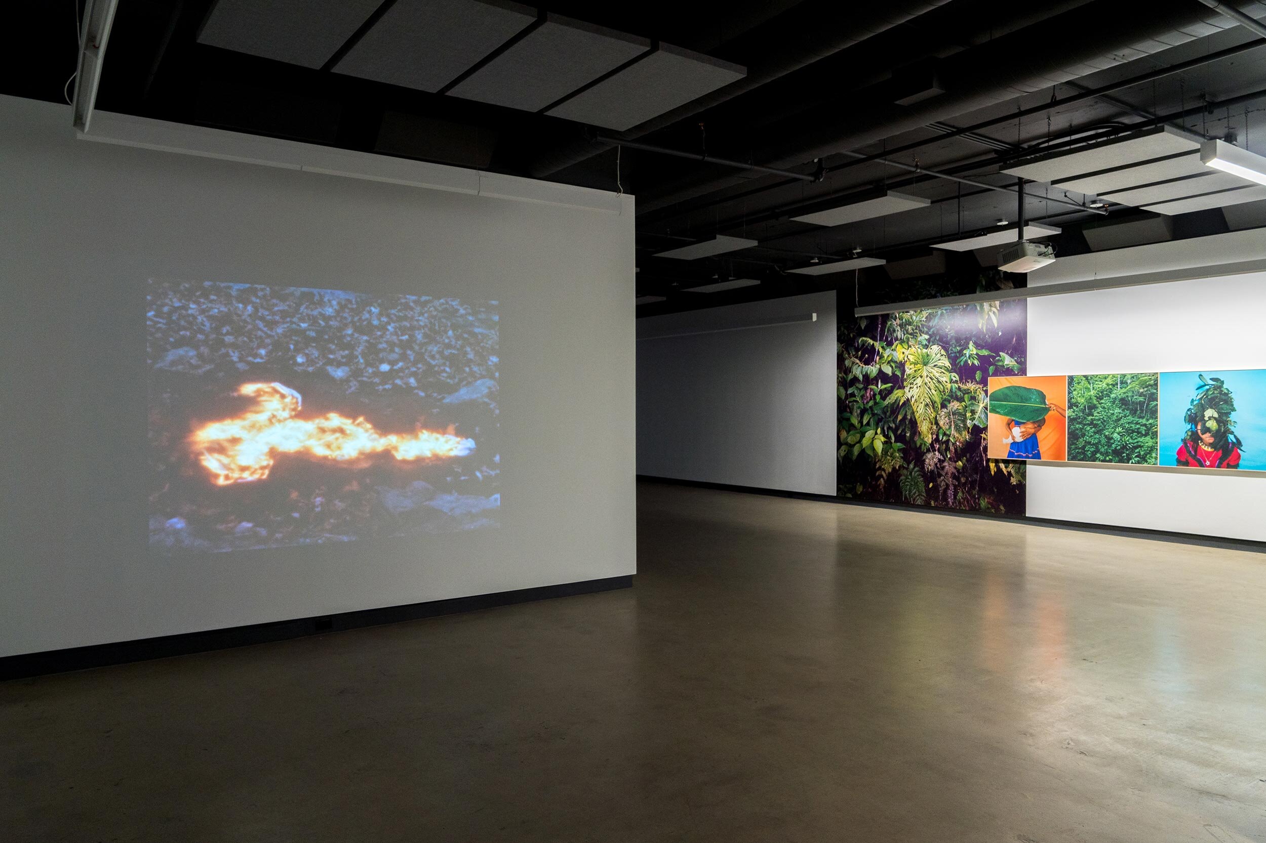  © Vue d’installation de l’exposition  Libertad , Dazibao, 2019. De gauche à droite : Ana Mendieta, Karen Paulina Biswell. Dans le cadre de MOMENTA | Biennale de l’image. Photo : Jean-Michael Seminaro. 