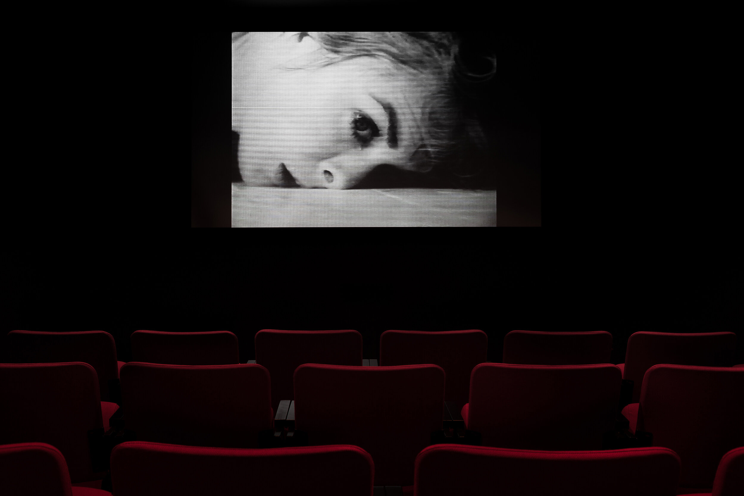  © laura jeanne lefave,  X (prologue)  (1999). Vue d’installation de l'exposition  Spécial Vidéographe Special , Dazibao, 2016. Photo : Marilou Crispin. 