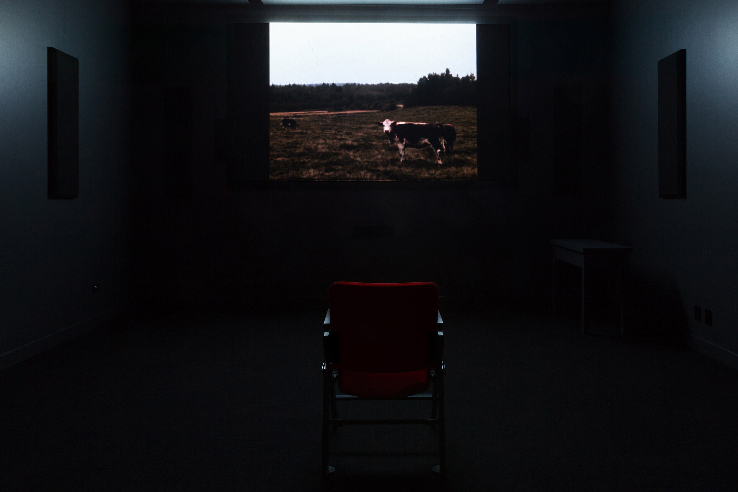  © Joyce Wieland,  Reason Over Passion  (1969). Vue d’installation de l’exposition, Dazibao, 2021. Photo : Marilou Crispin. 