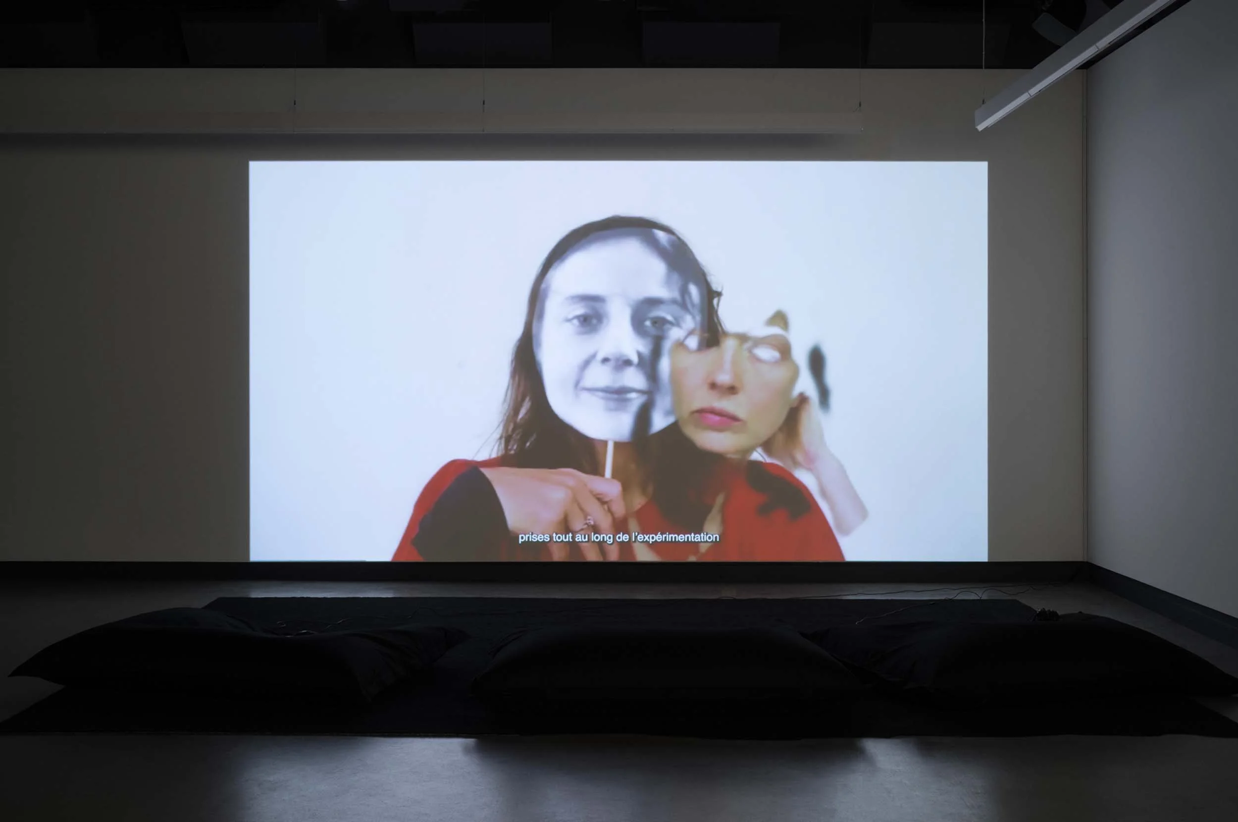  © Maïder Fortuné et Annie MacDonell, vue de l’exposition  Shadow Vision , Dazibao, 2025. Photo : Atlas documentation. 