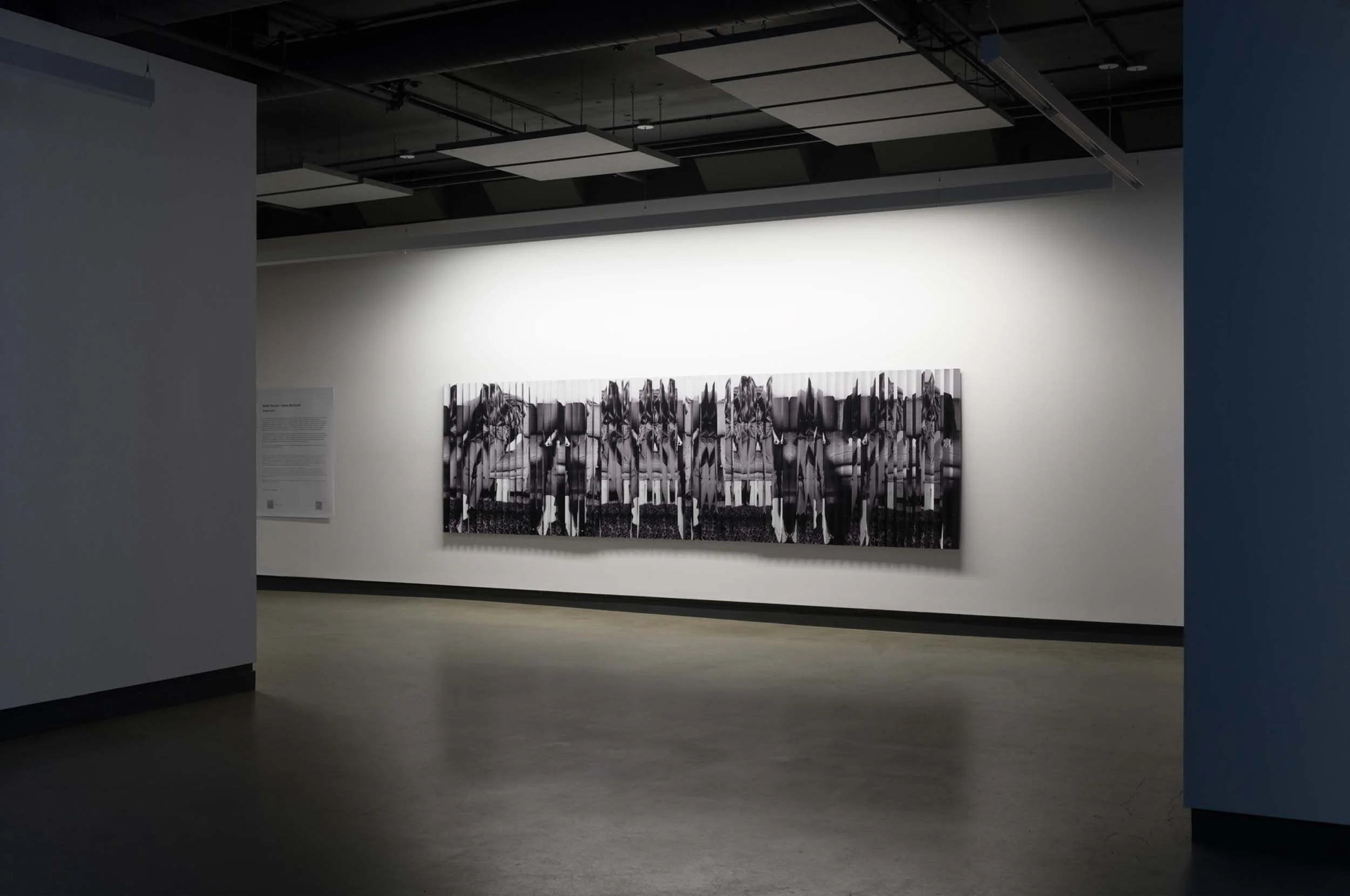  © Maïder Fortuné et Annie MacDonell, vue de l’exposition  Shadow Vision , Dazibao, 2025. Photo : Atlas documentation. 