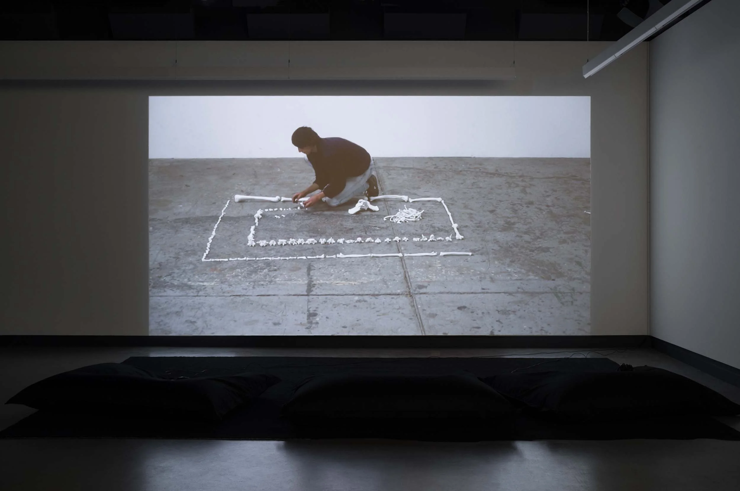  © Maïder Fortuné et Annie MacDonell, vue de l’exposition  Shadow Vision , Dazibao, 2025. Photo : Atlas documentation. 
