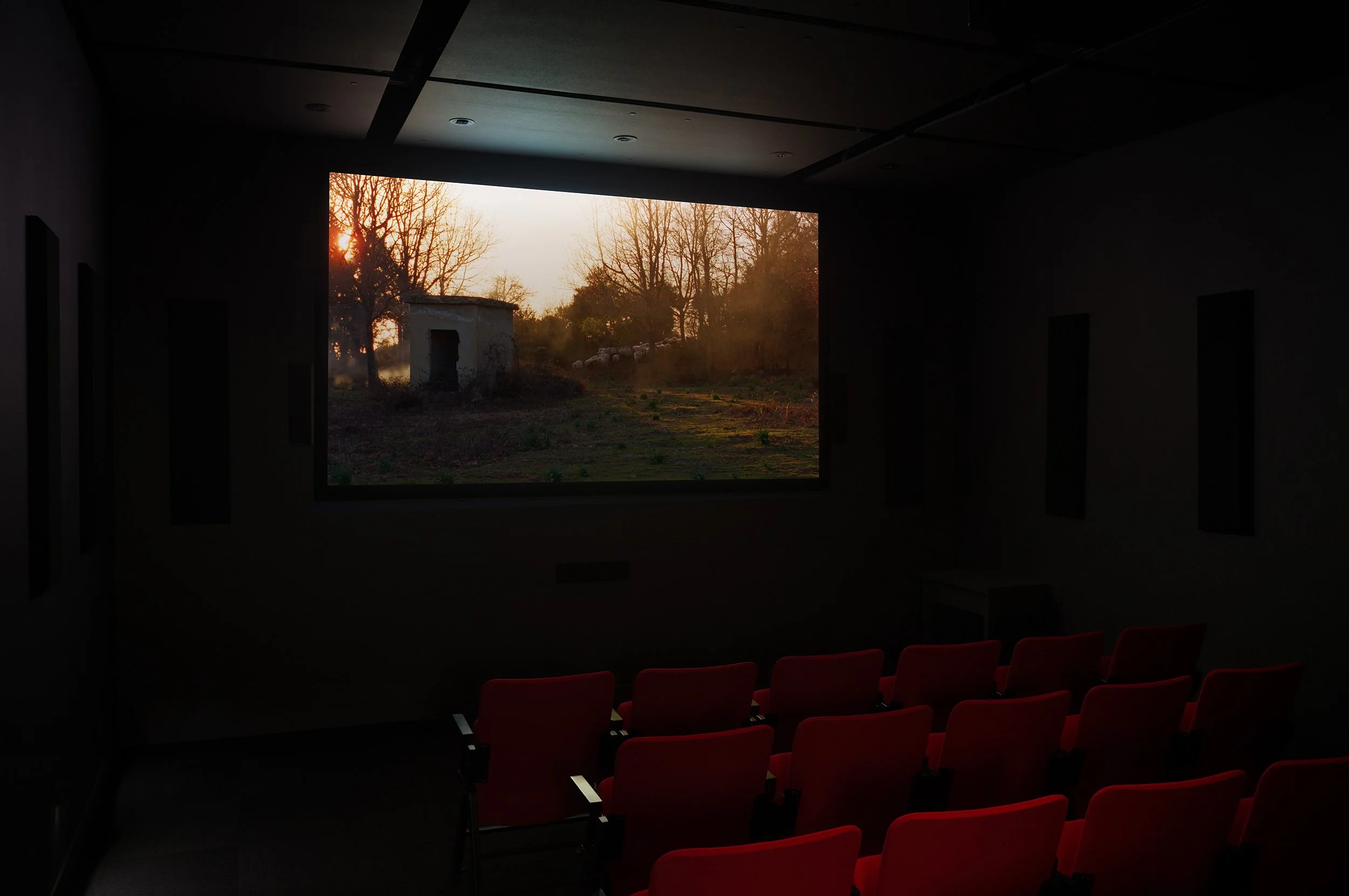  © Callum Hill,  E-Minor  (2024). Vue de l'exposition, Dazibao, 2025. Photo : Atlas documentation. 