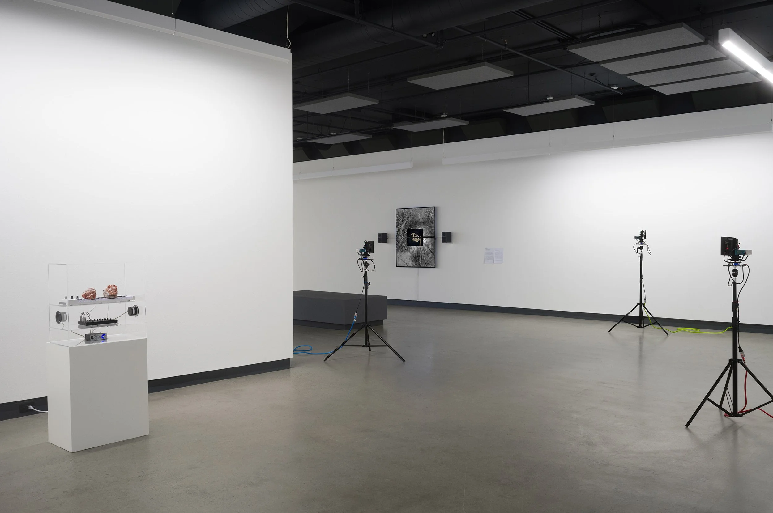  © Vue de l’exposition  The Art Gallery Problem , Dazibao, 2026. Coprésentée avec The Blackwood, University of Toronto Mississauga. Photo: Atlas documentation 