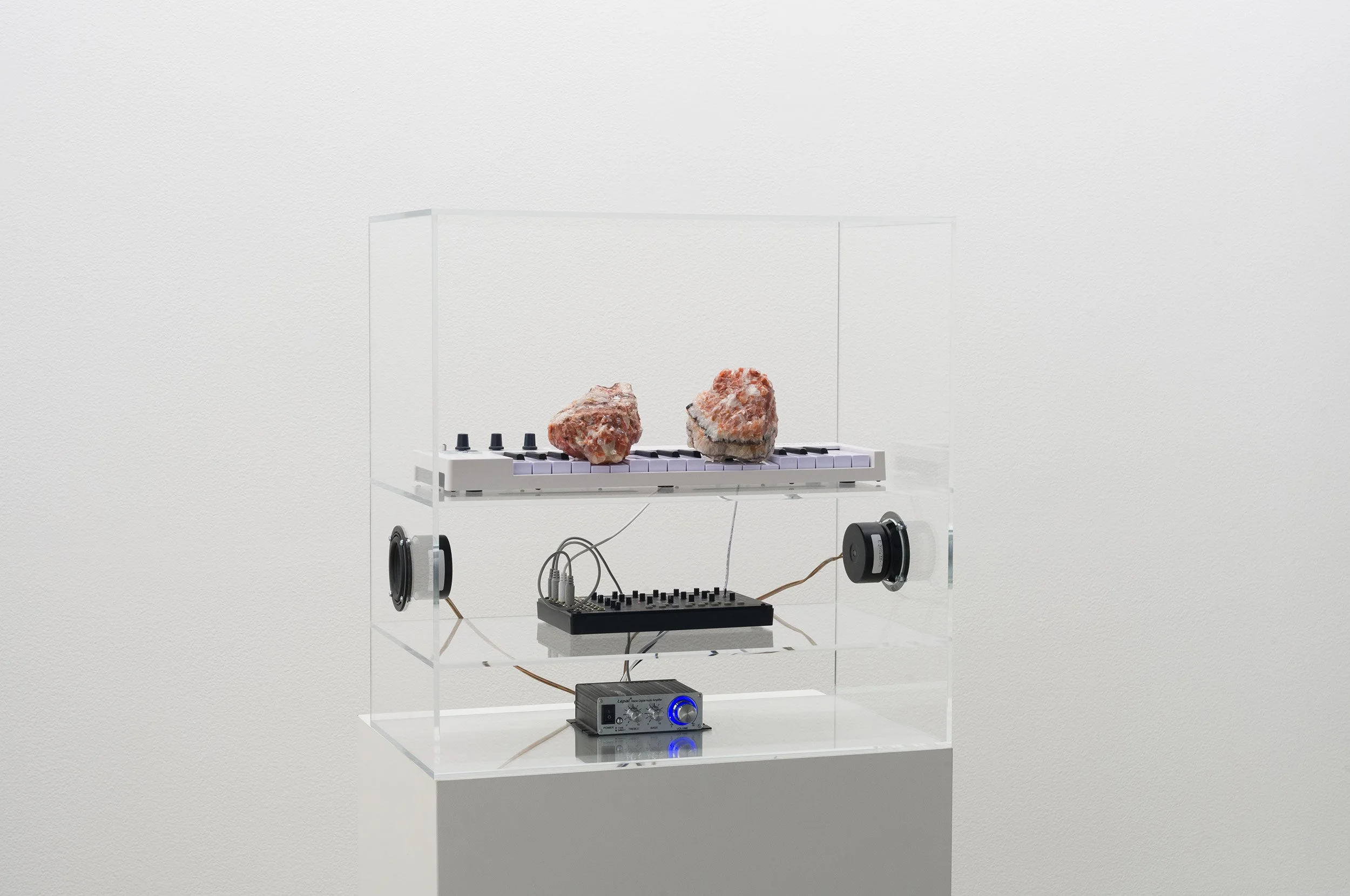  © Nikita Gale,  GRAVITY SOLO III (HYPERPERFORMANCE)    (2025) dans l’exposition  The Art Gallery Problem , Dazibao, 2026. Coprésentée avec The Blackwood, University of Toronto Mississauga. Photo: Atlas documentation 