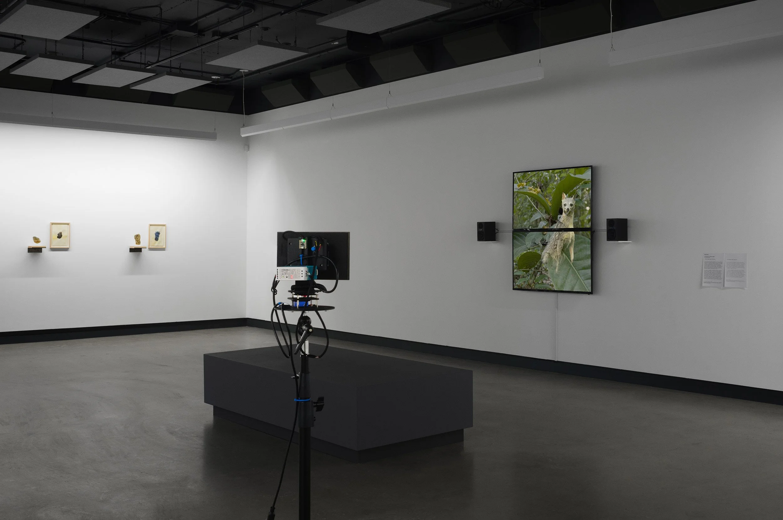  © Vue de l’exposition  The Art Gallery Problem , Dazibao, 2026. Coprésentée avec The Blackwood, University of Toronto Mississauga. Photo: Atlas documentation 