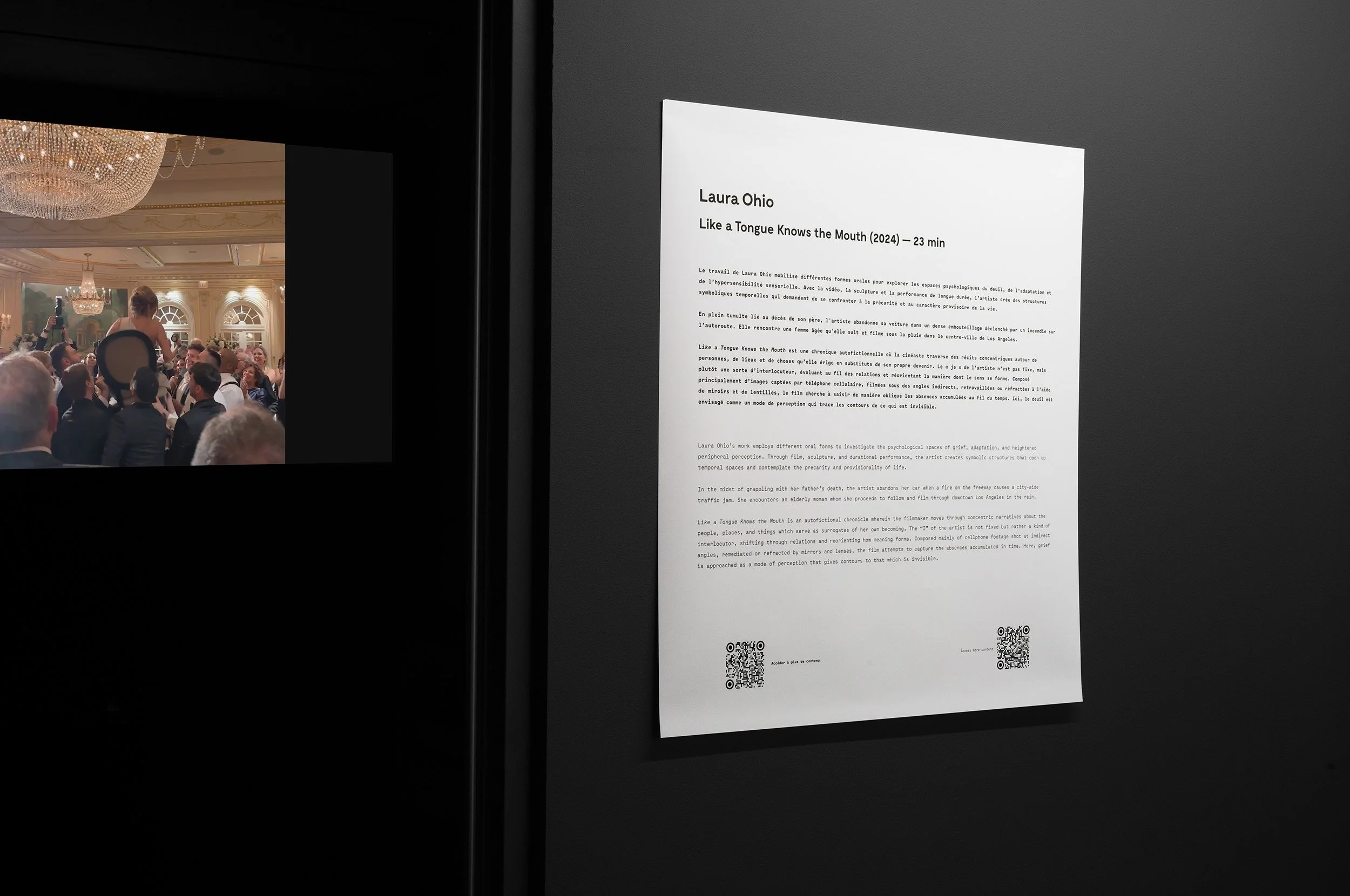  © Laura Ohio,  Like a Tongue Knows the Mouth &nbsp; (2024). Vue de l’exposition, Dazibao, 2026. Photo: Atlas documentation. 