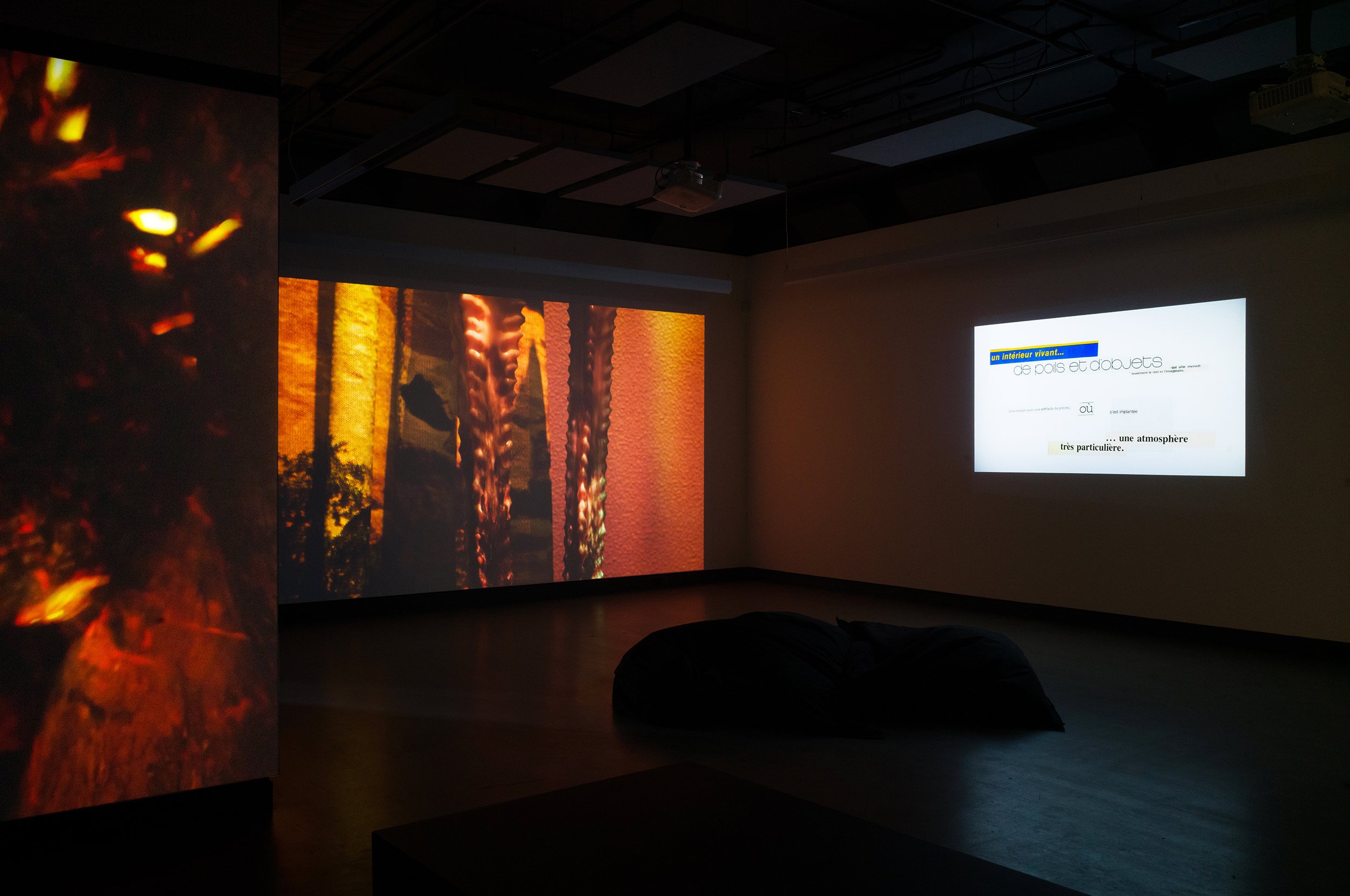  © Philippe-Aubert Gauthier et Tanya St-Pierre, vue de l’exposition  Intact au milieu des flammes — Dans une série d'architectures vivantes , Dazibao, 2026. Photo : Atlas documentation 