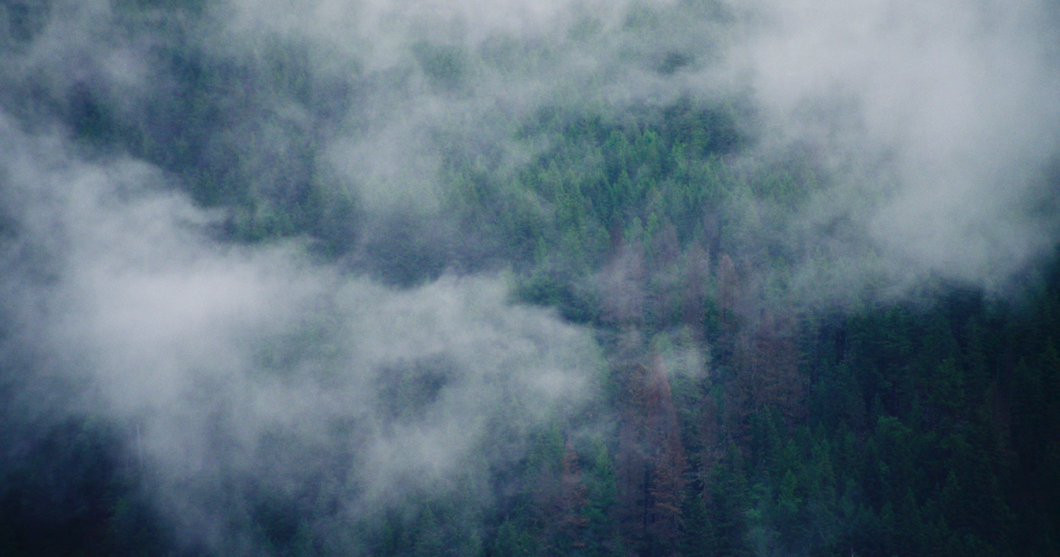 8-3_caustics_still11.png