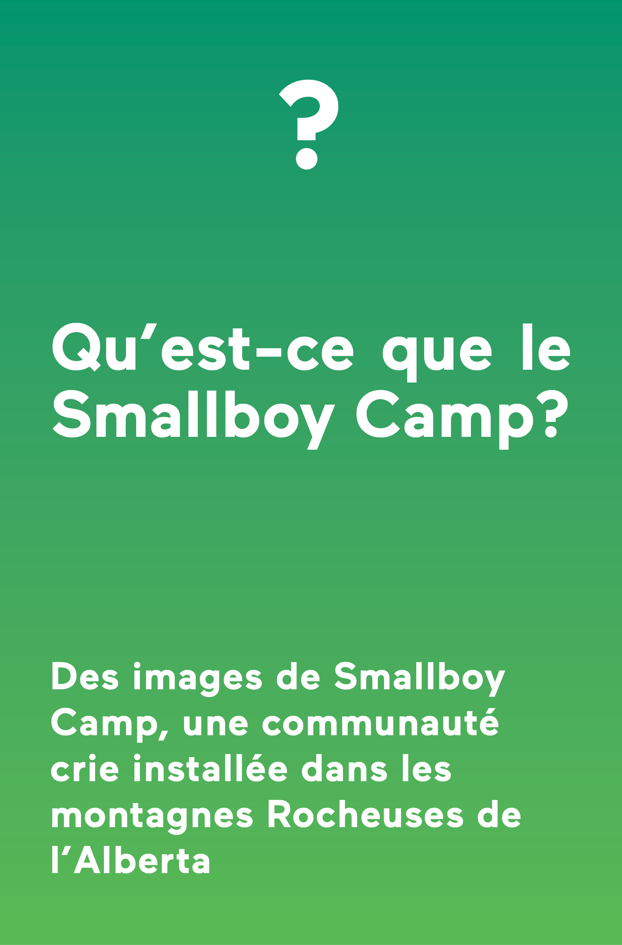 VR_tyson_houseman_smallboy-camp_fr.png