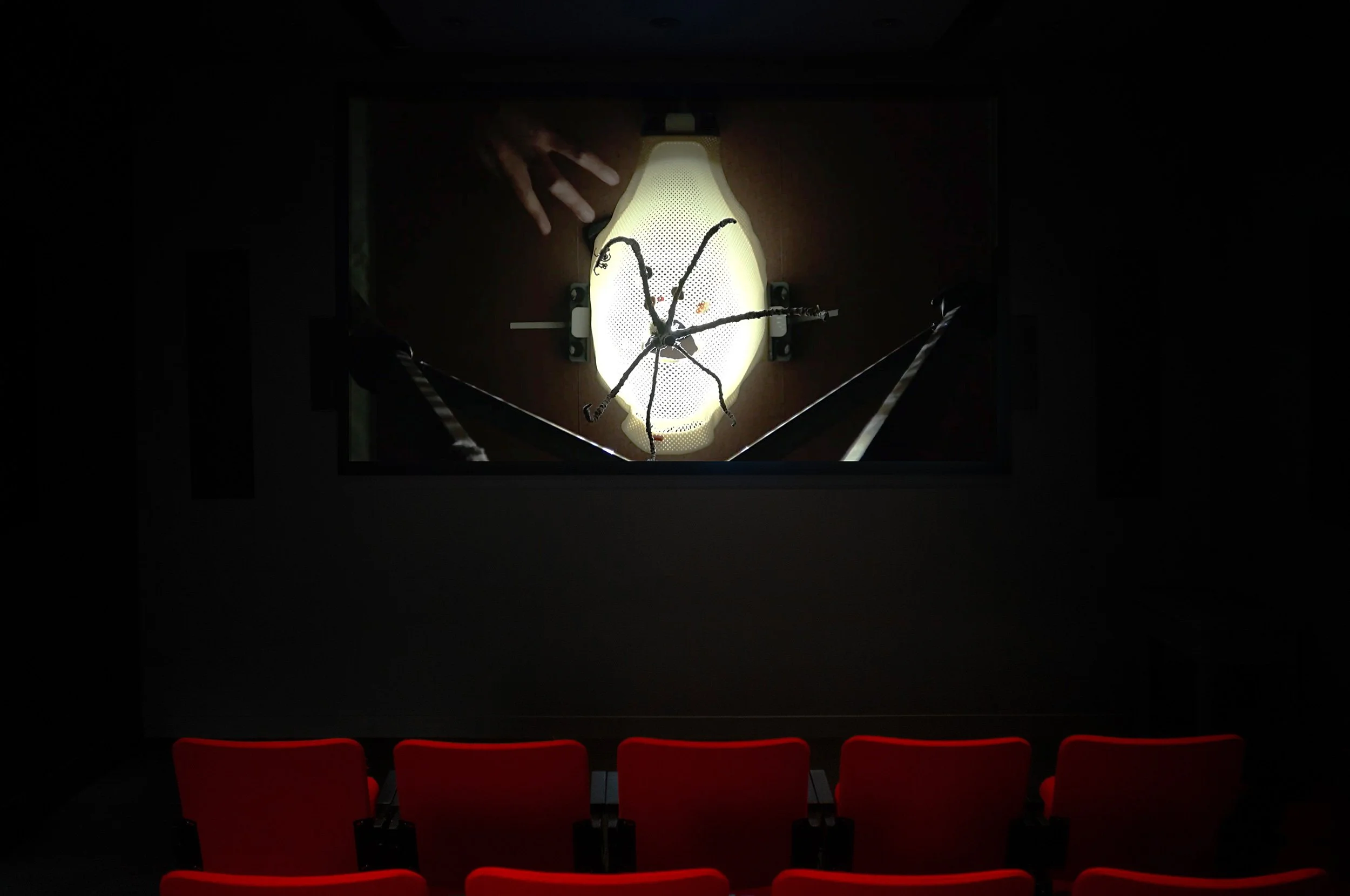  © Vijay Masharani, vue de l’exposition  Vidéos sélectionnées , Dazibao, 2026. Photo : Atlas documentation 