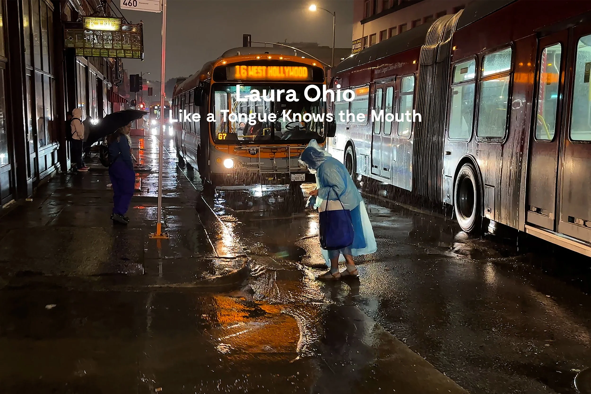laura_ohio_web_homepage.jpg