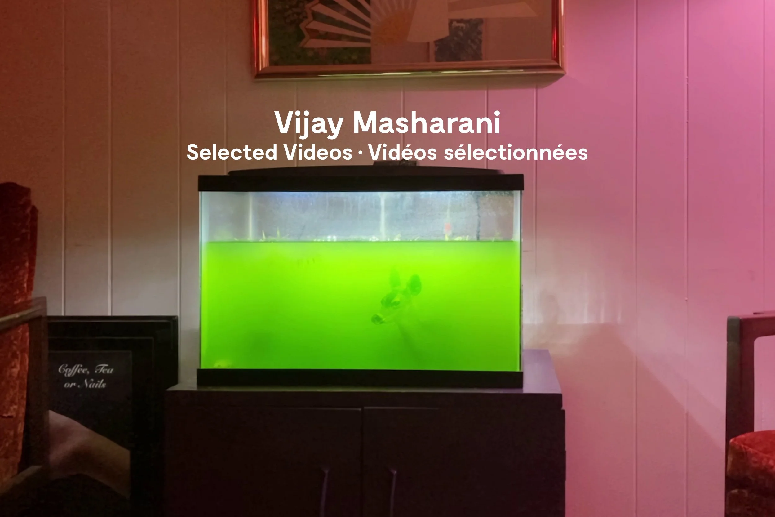 vijay_masharani_web_homepage-copie.jpg