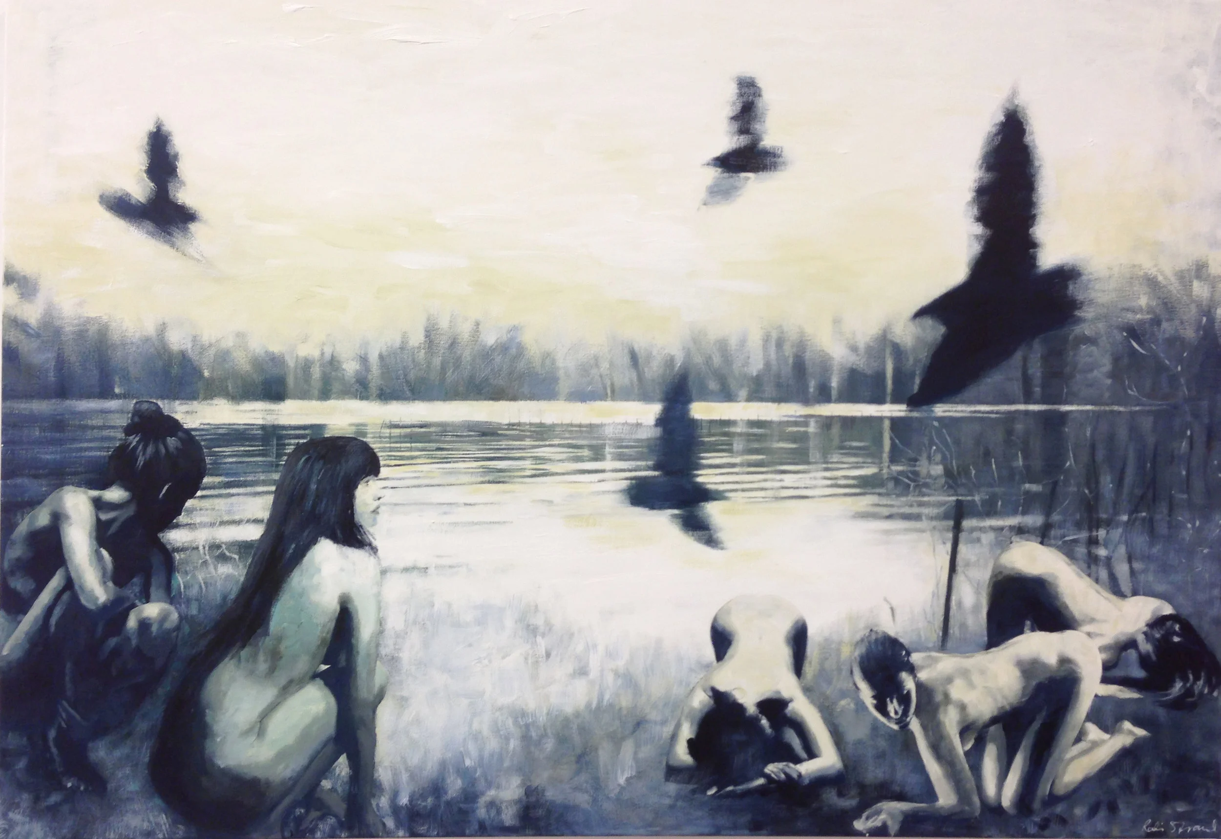 Villfugl / Wild bird