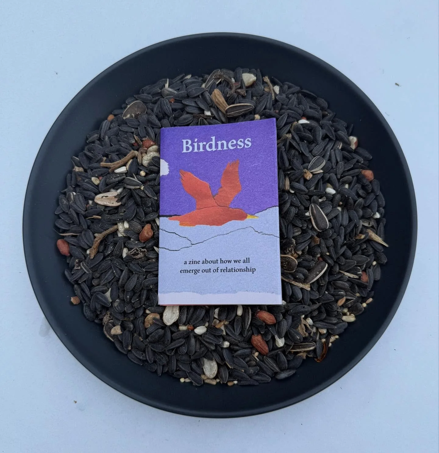 &ldquo;Birdness is a banger&rdquo; is the review I always think about this one :) Just did a minor visual redesign and reprint on this one! Also tis the season to bring out the bird seed! #🐦&zwj;⬛

#zine #birds #birdwatchers #bird