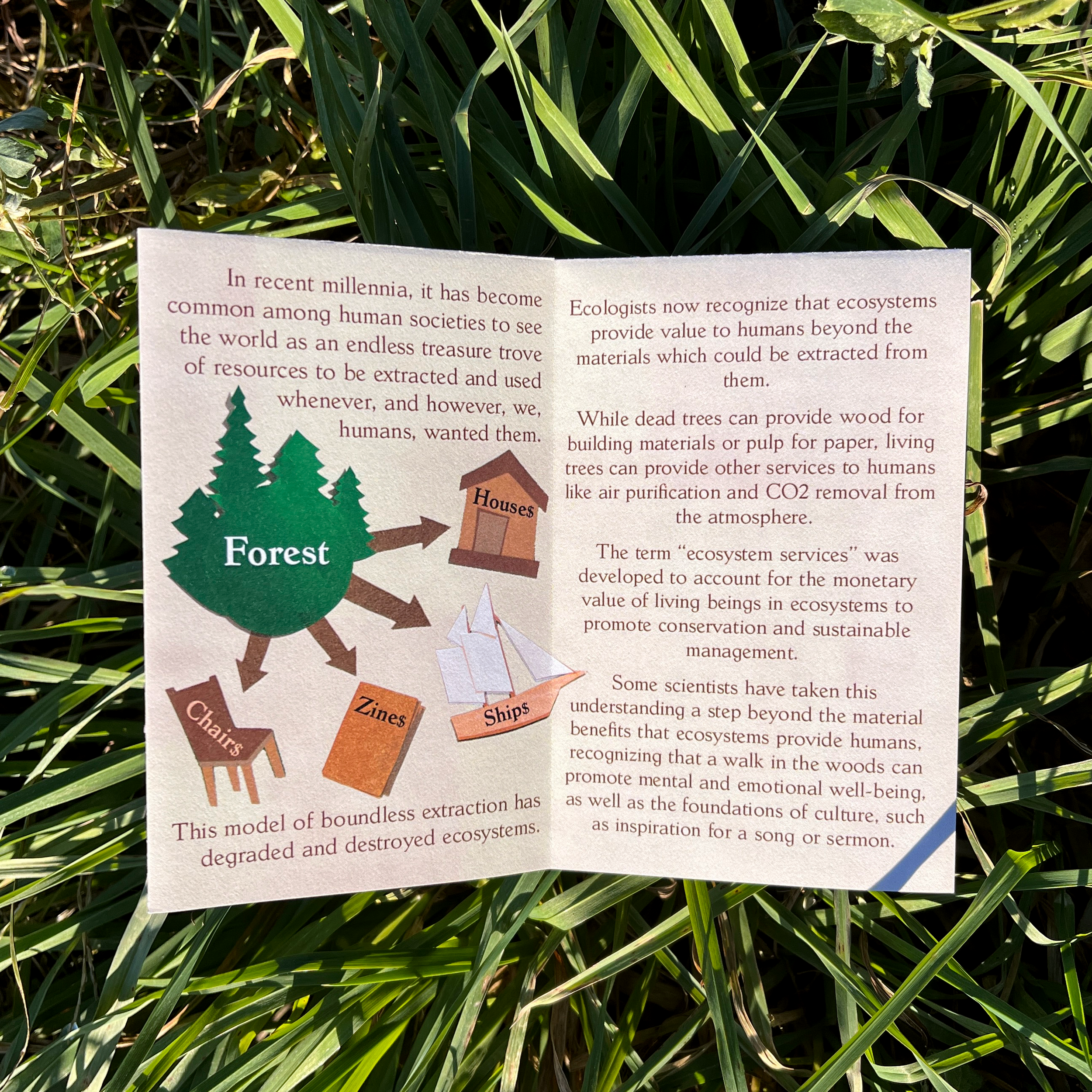 forests inside 1.png