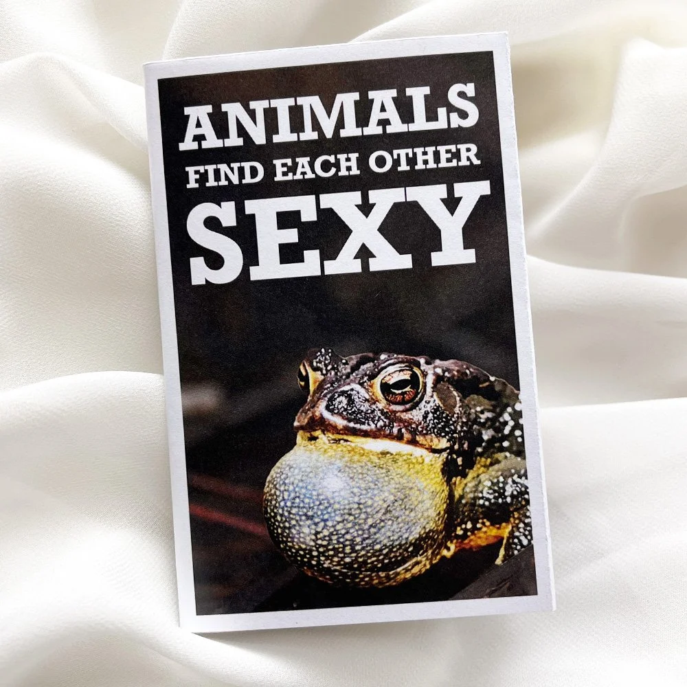 Animals Find Each Other Sexy - #58