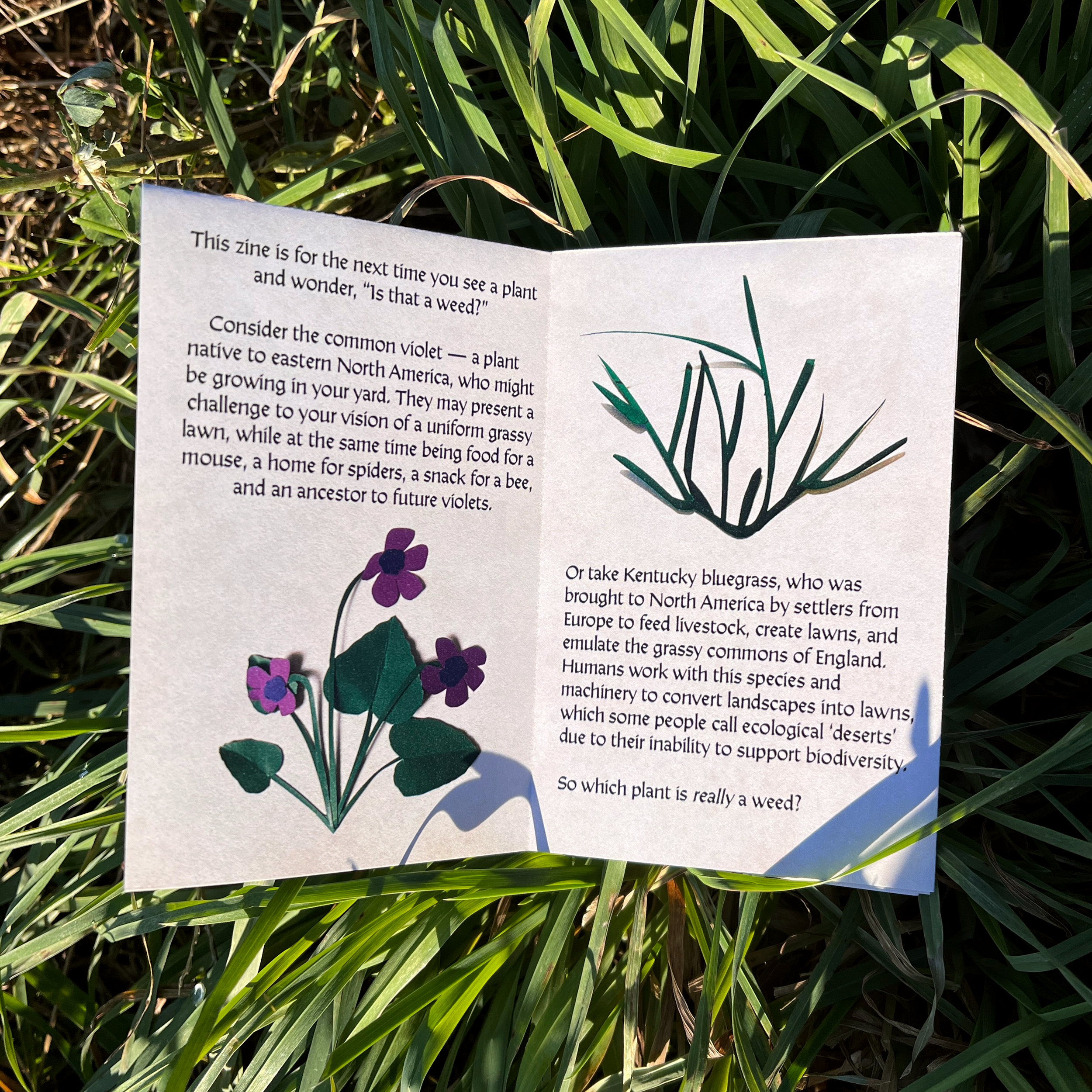 weeds inside 1.png