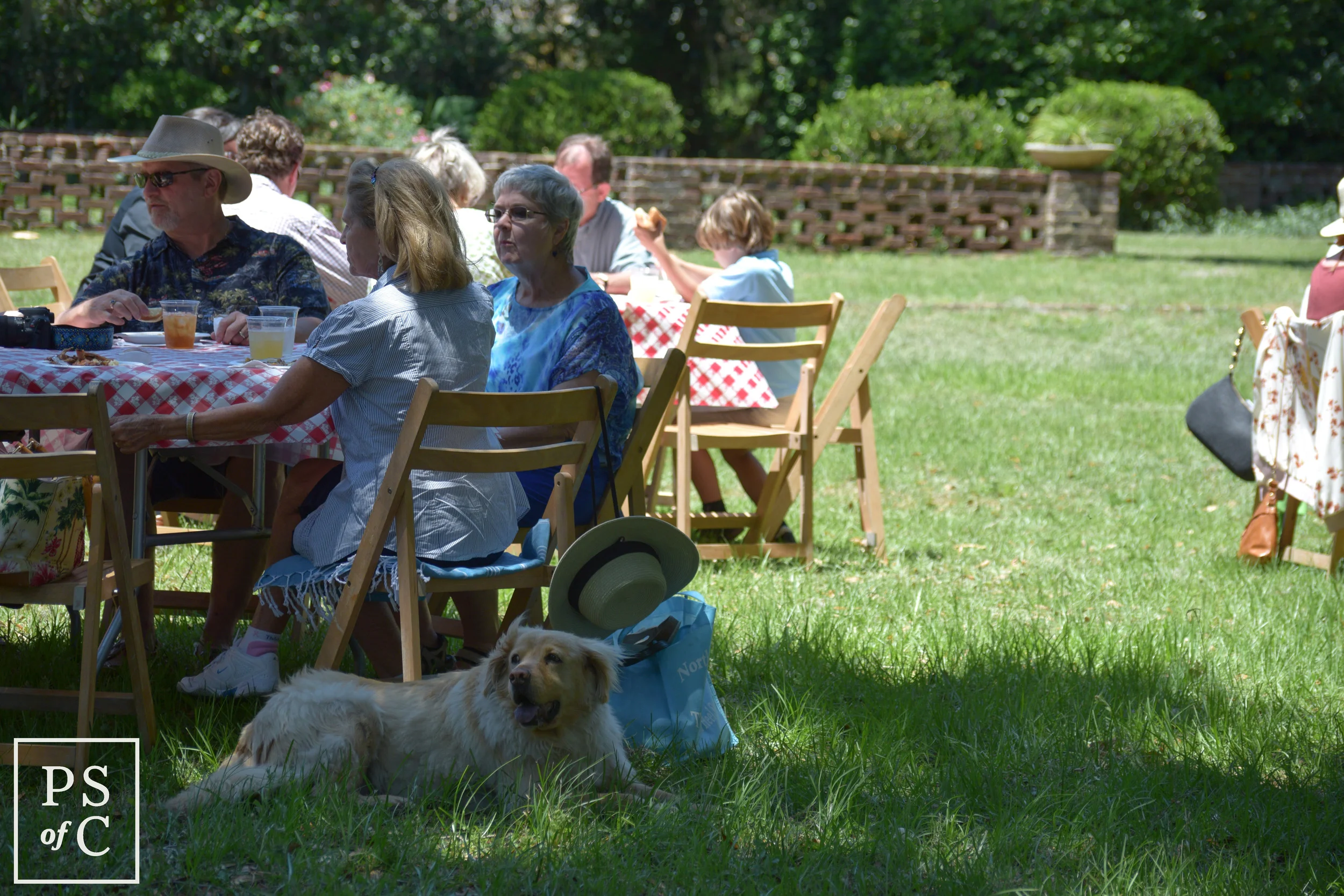 DSC_0047.jpg