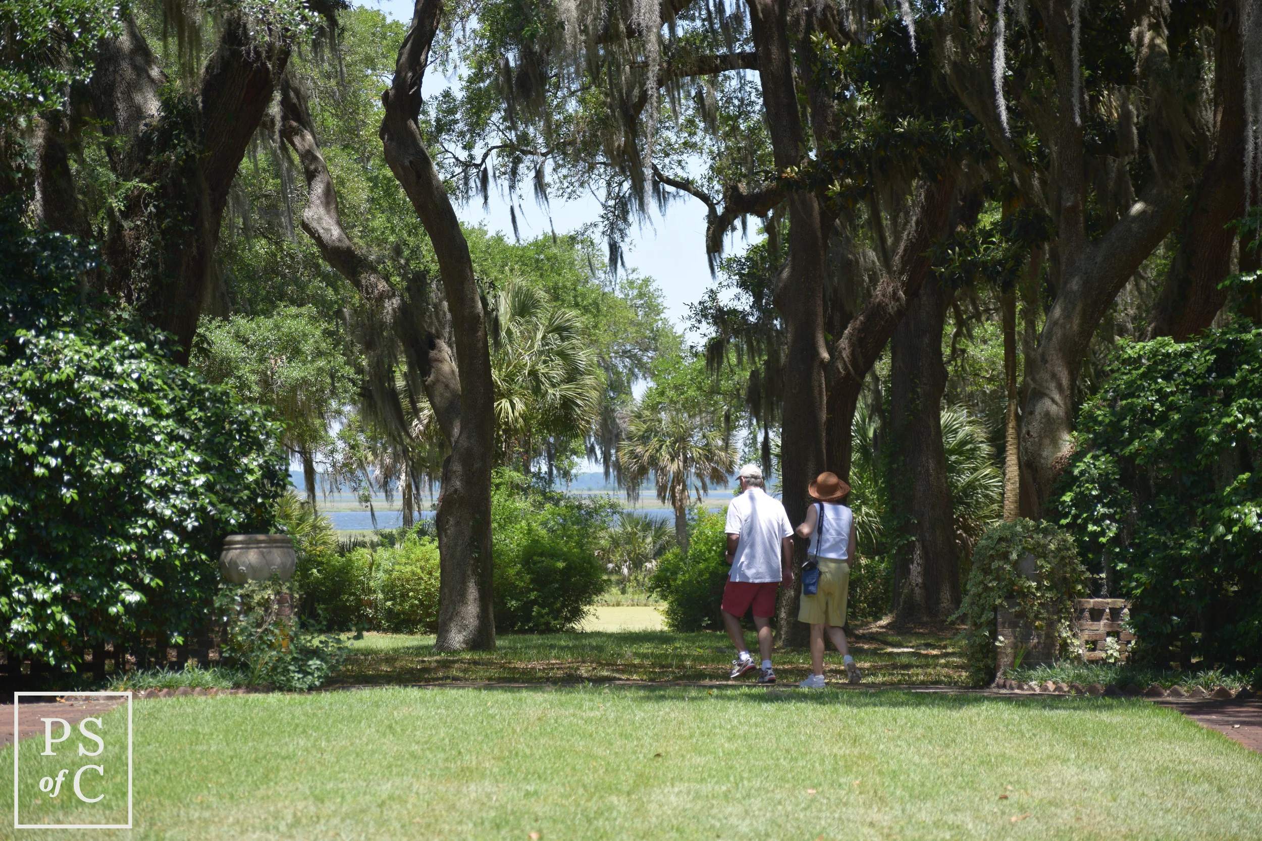 DSC_0052.jpg