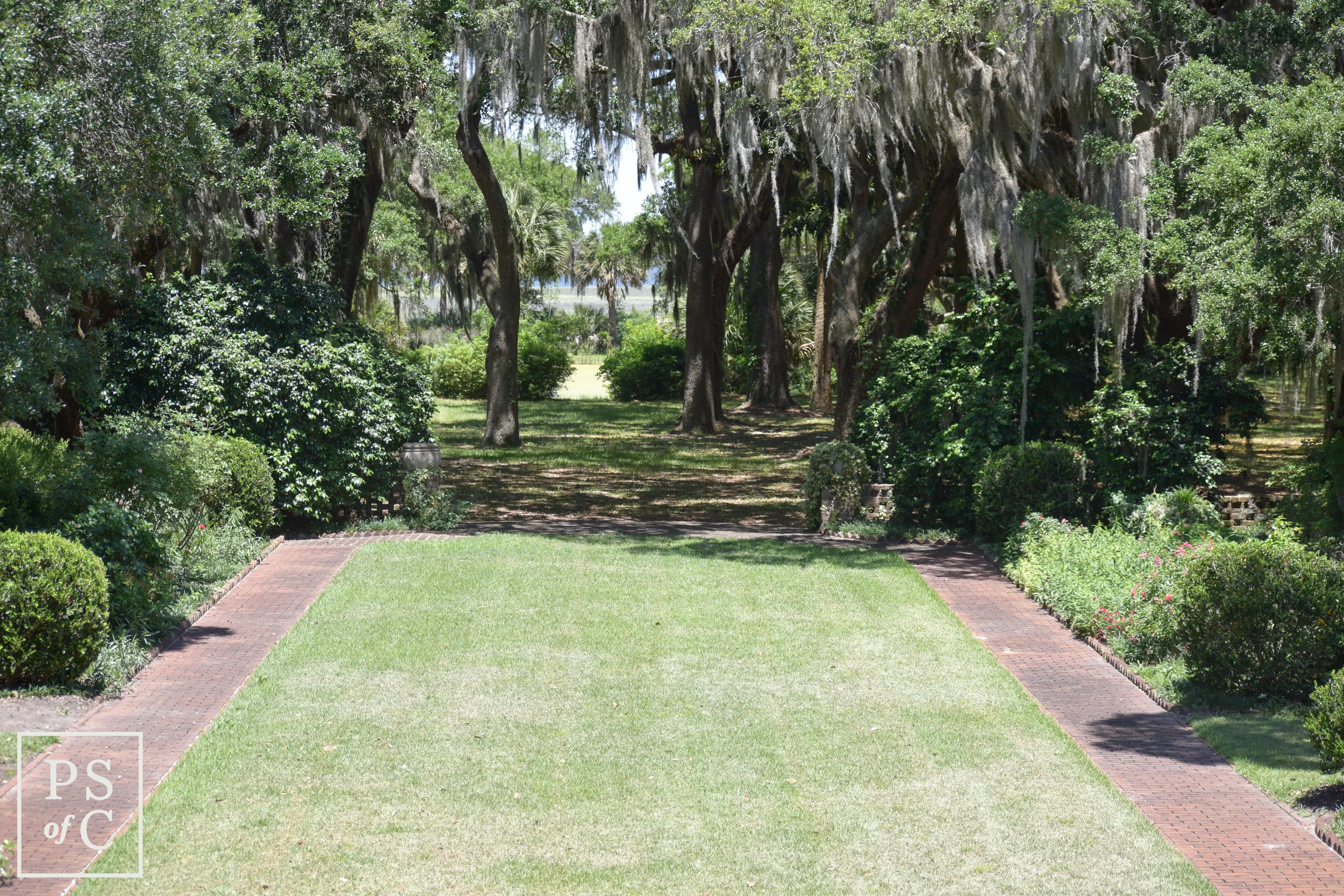 DSC_0061.jpg