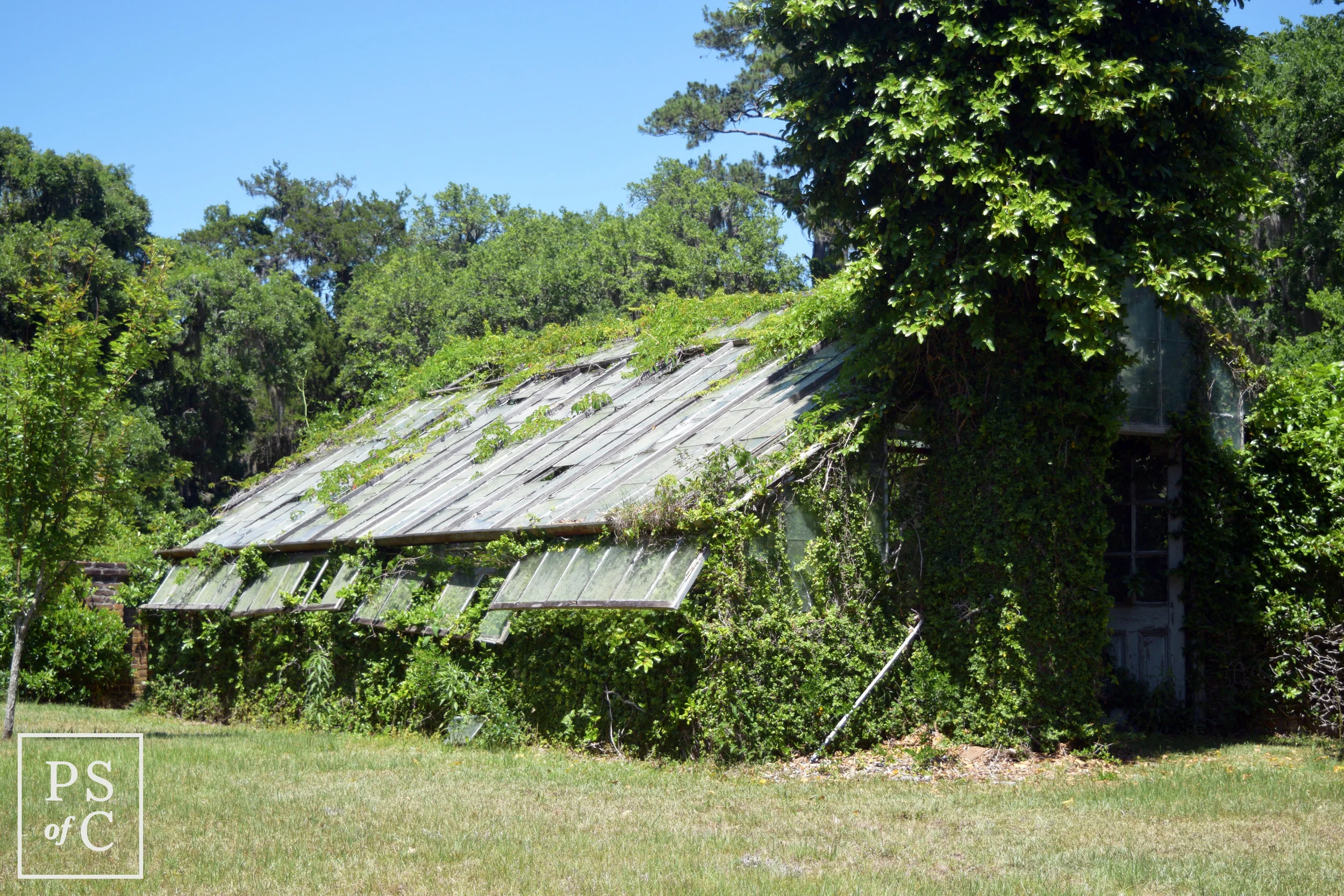 DSC_0466.jpg