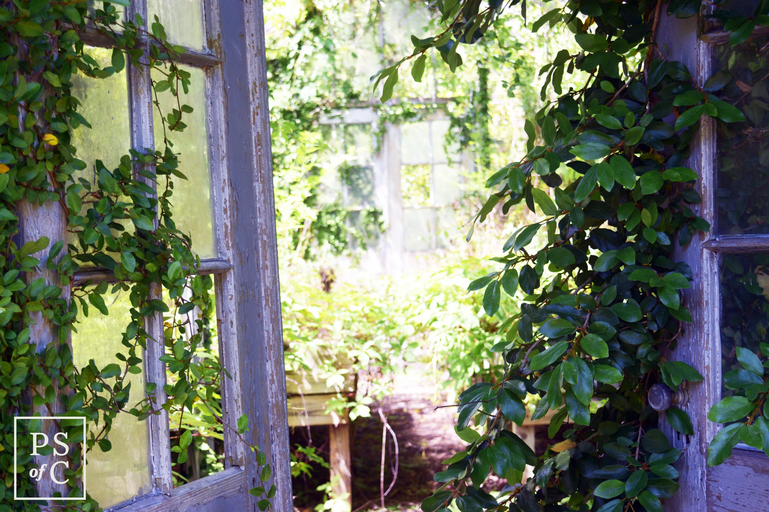 DSC_0612.jpg