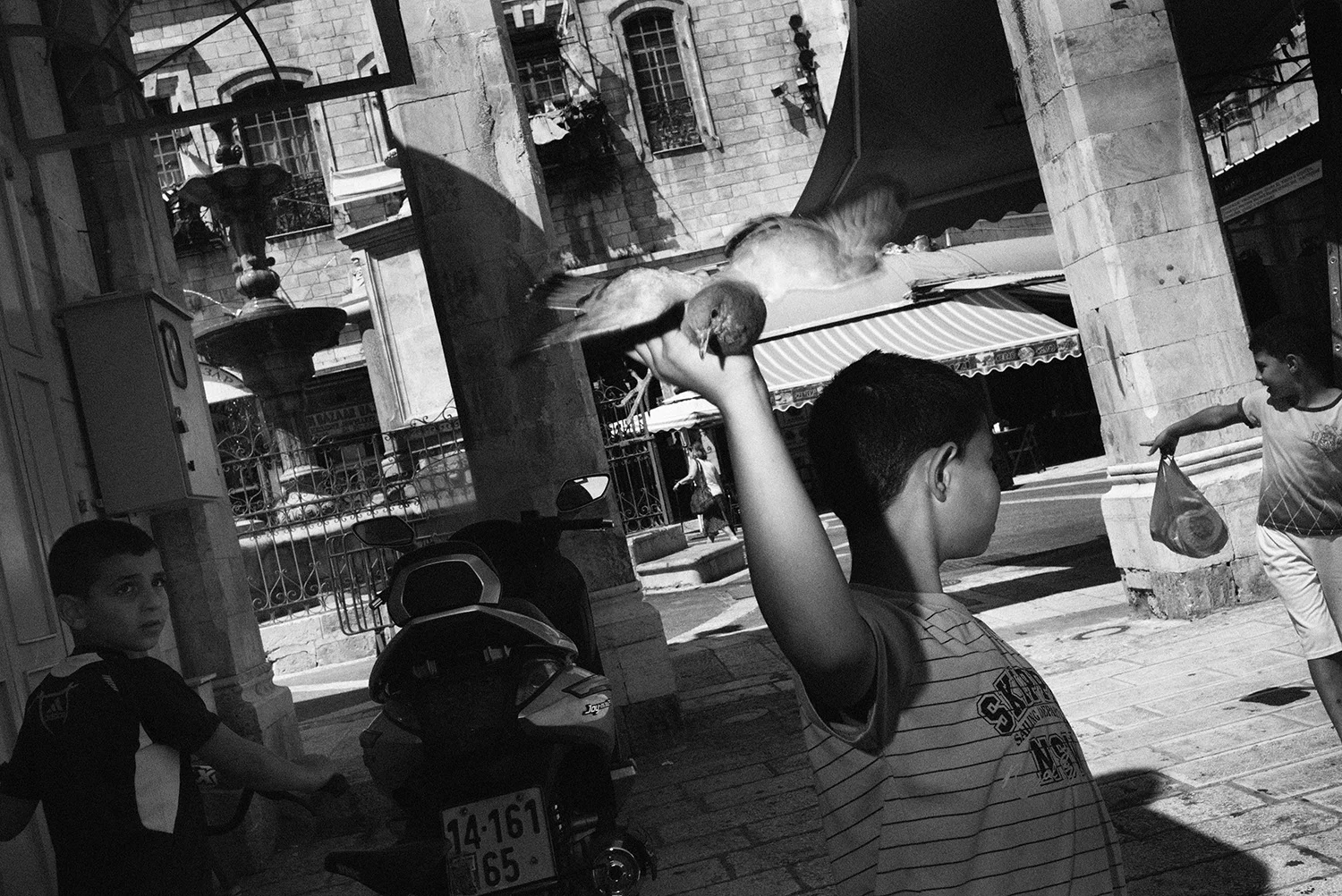 web captive 01 grain.jpg
