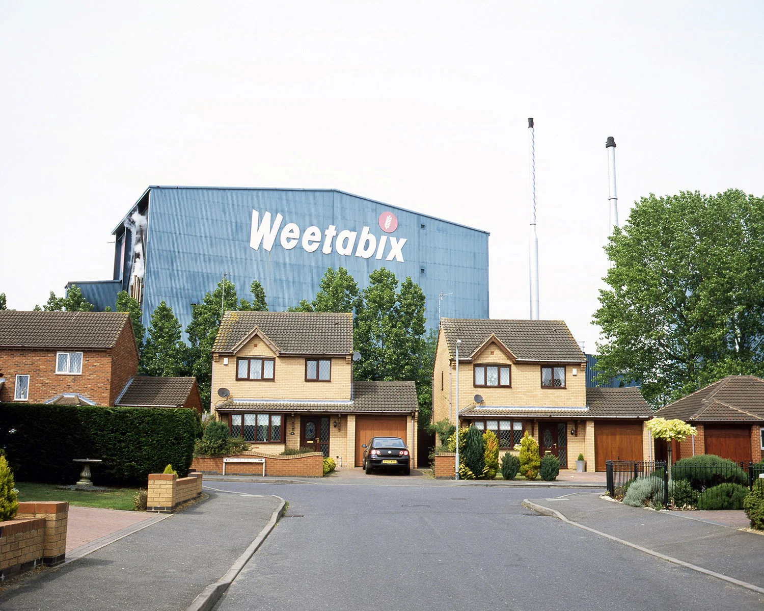 web-corby-10.jpg