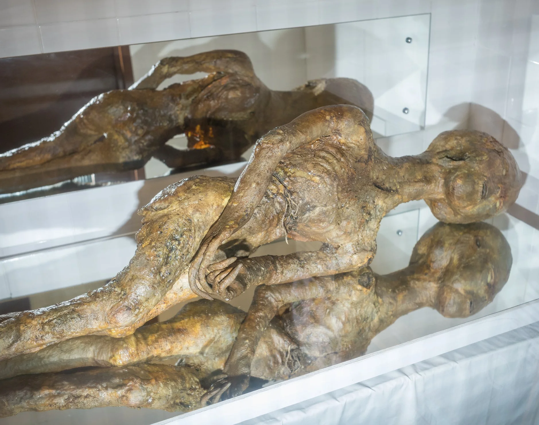 Alien, Bentwaters Museum.jpg