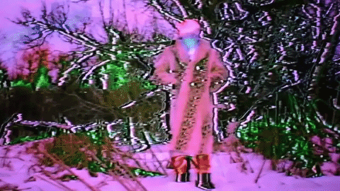 Possum