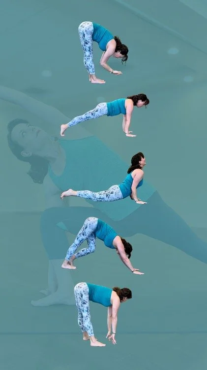  108 Sun Salutations - Celebrate the Winter Solstice! Special Extended Class with Elizabeth