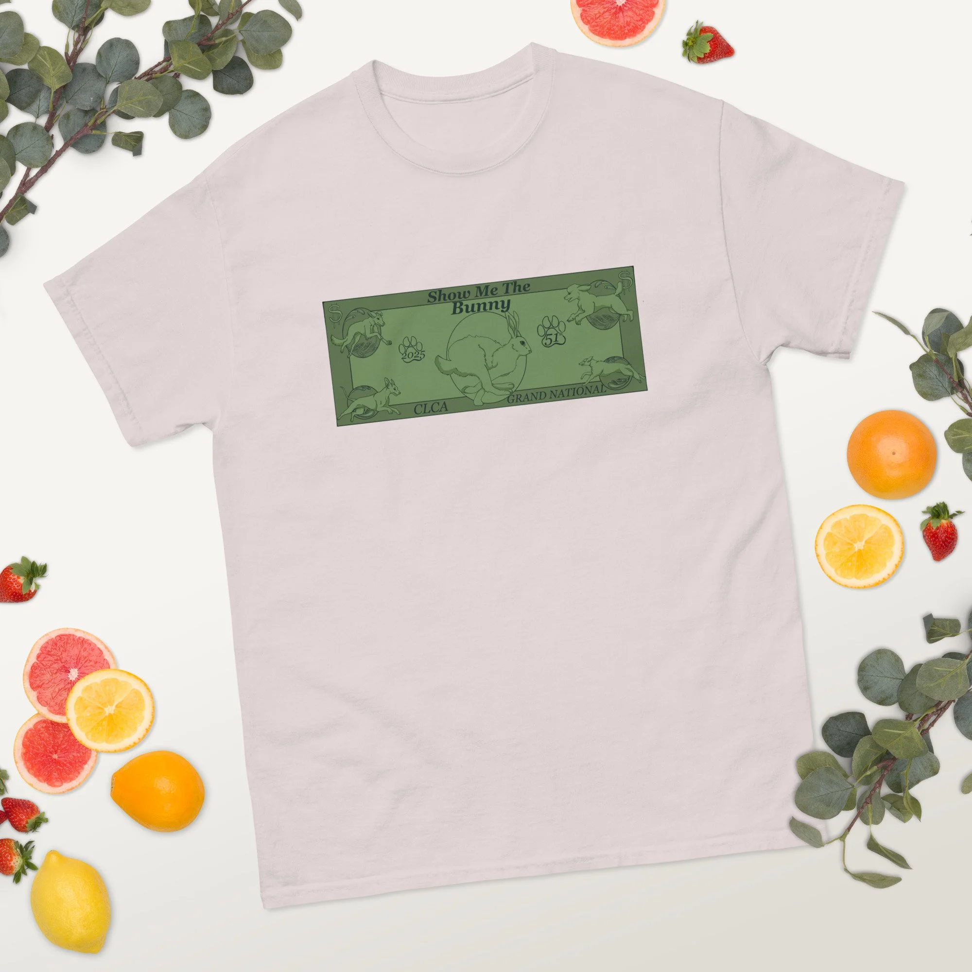 unisex-classic-tee-ice-grey-front-2-6883e73074b6f.jpg