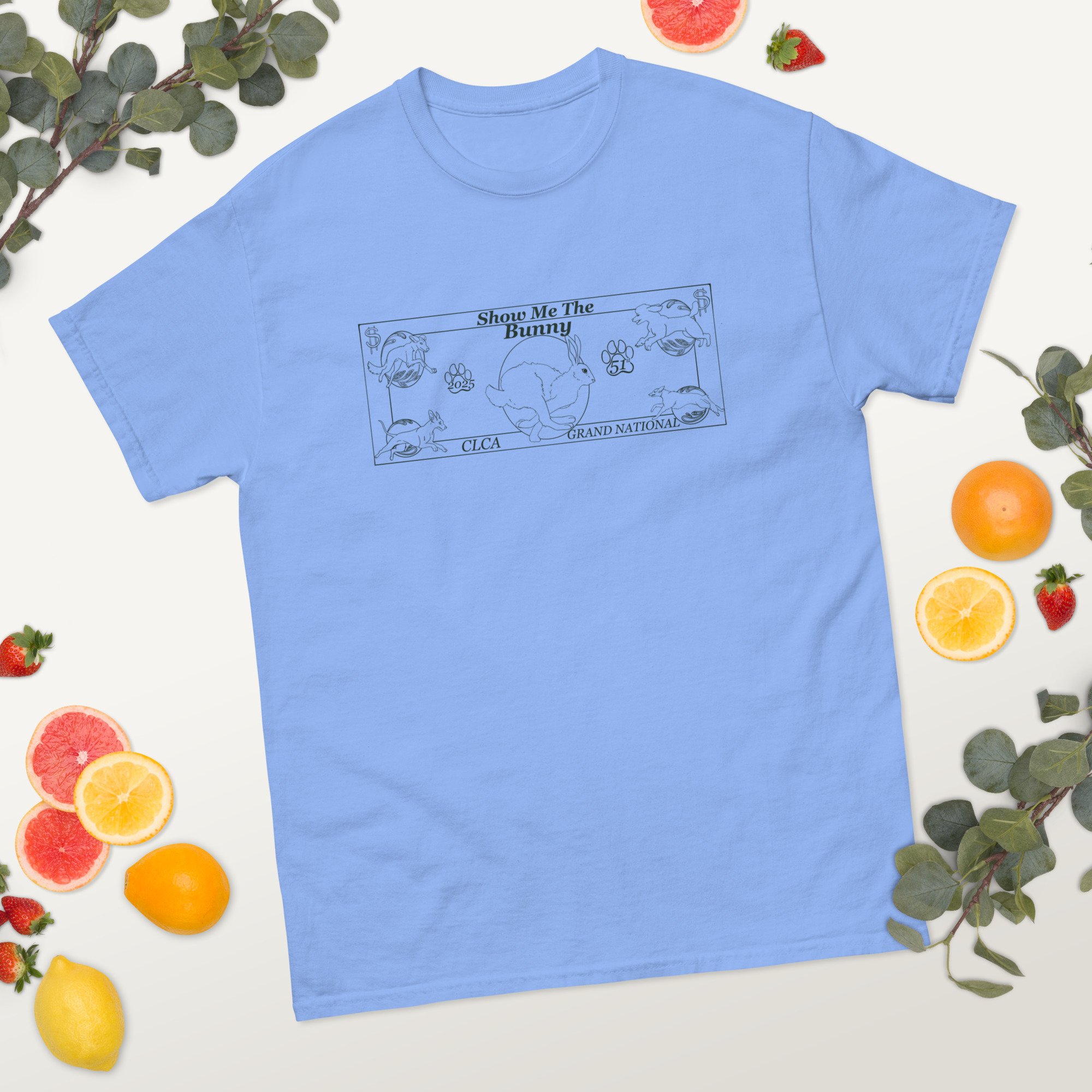 unisex-classic-tee-carolina-blue-front-2-6883e813bf89d.jpg