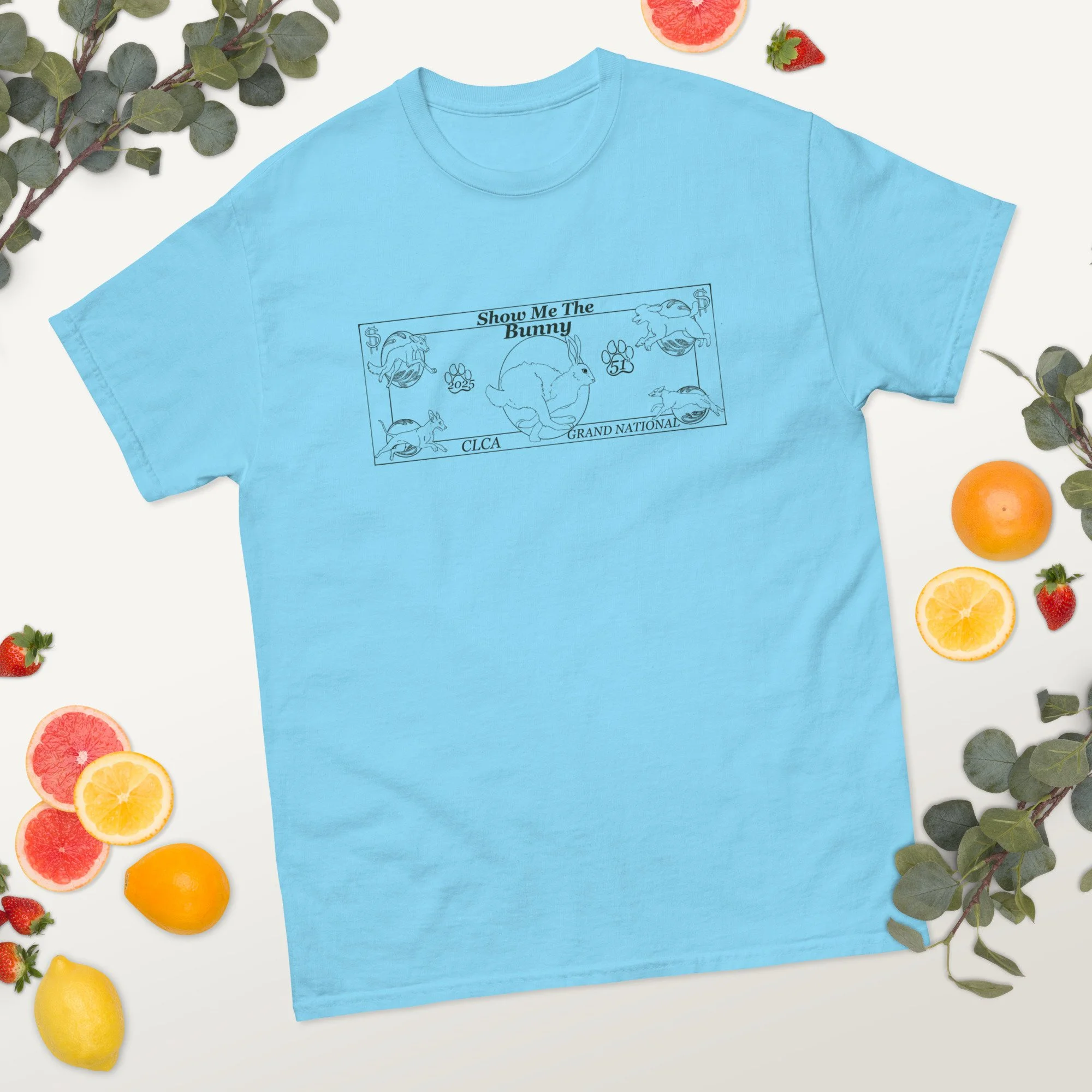 unisex-classic-tee-sky-front-2-6883e813c9b51.jpg