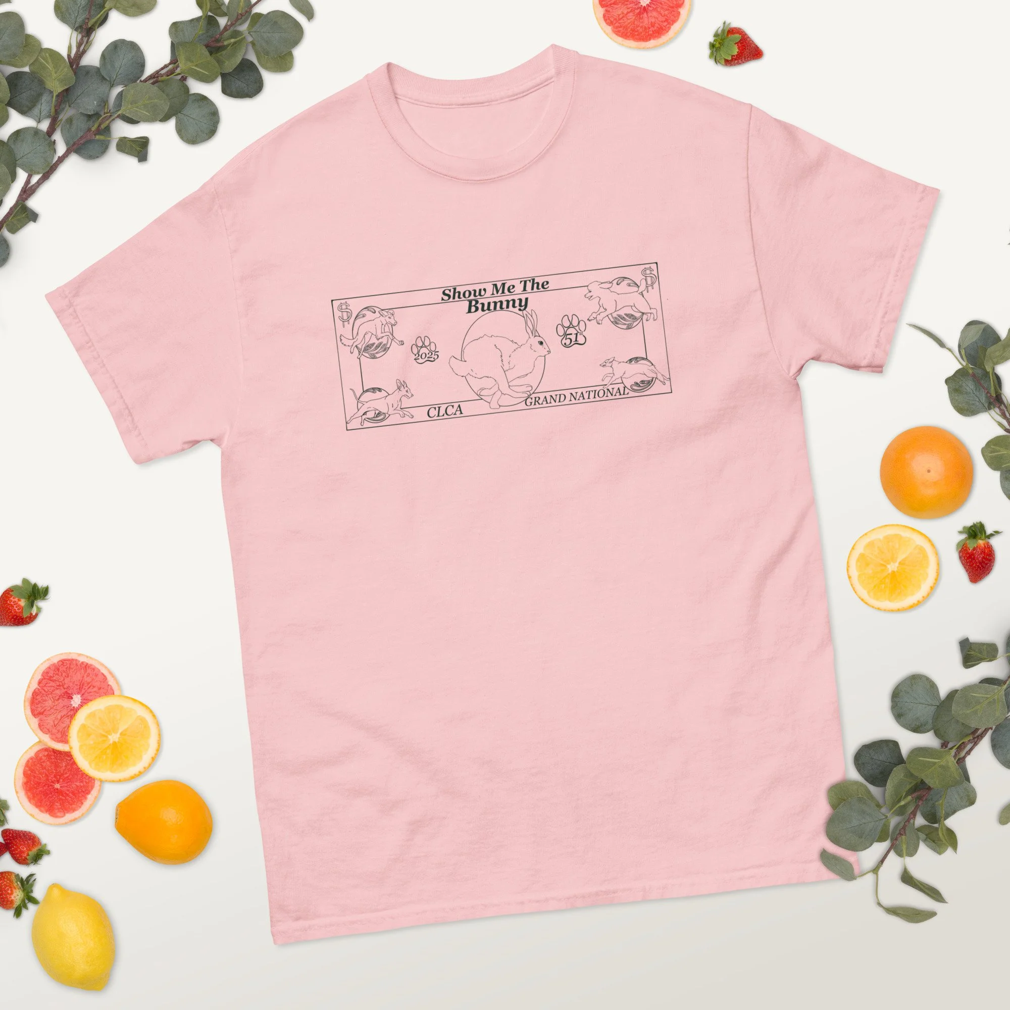 unisex-classic-tee-light-pink-front-2-6883e81409327.jpg