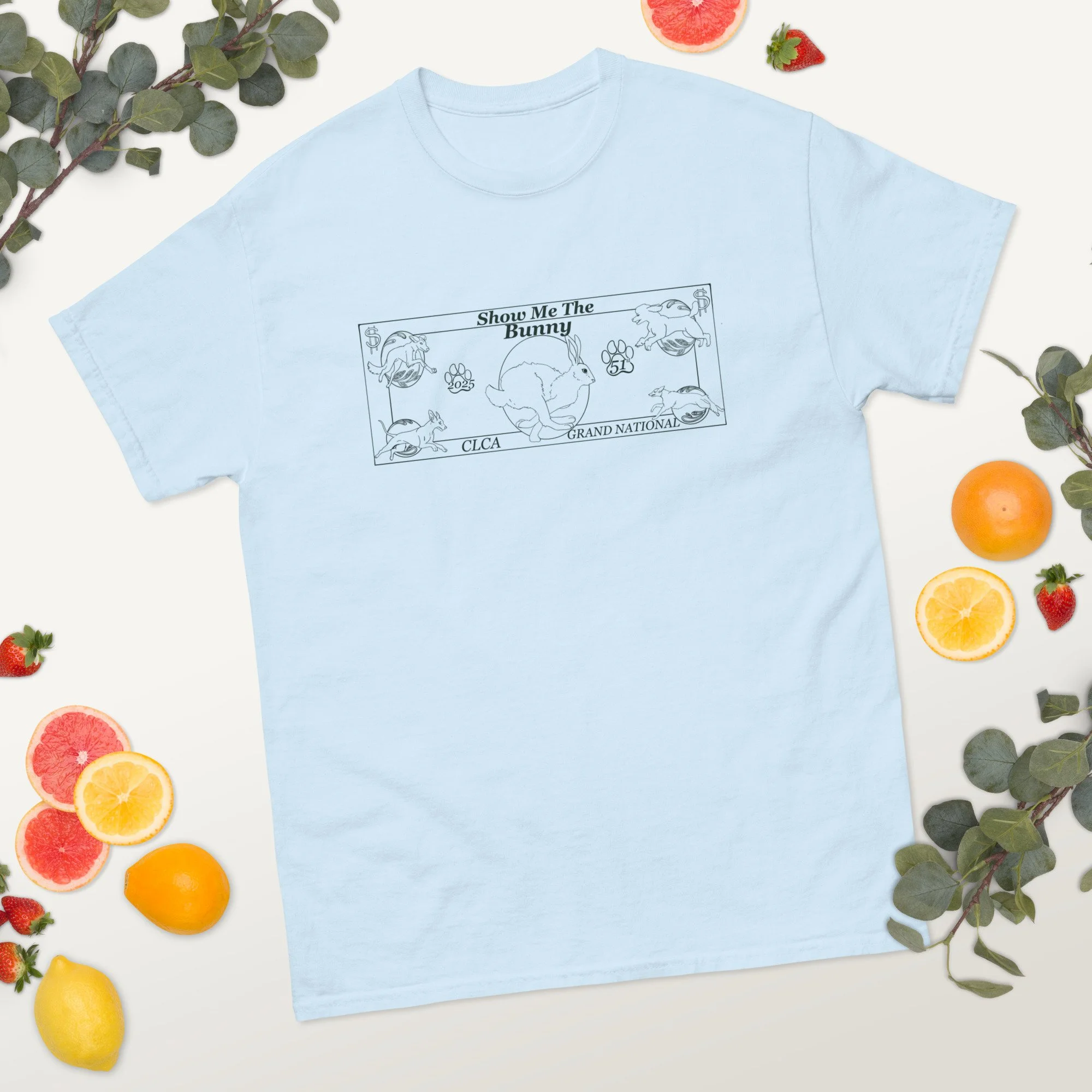unisex-classic-tee-light-blue-front-2-6883e8143d889.jpg