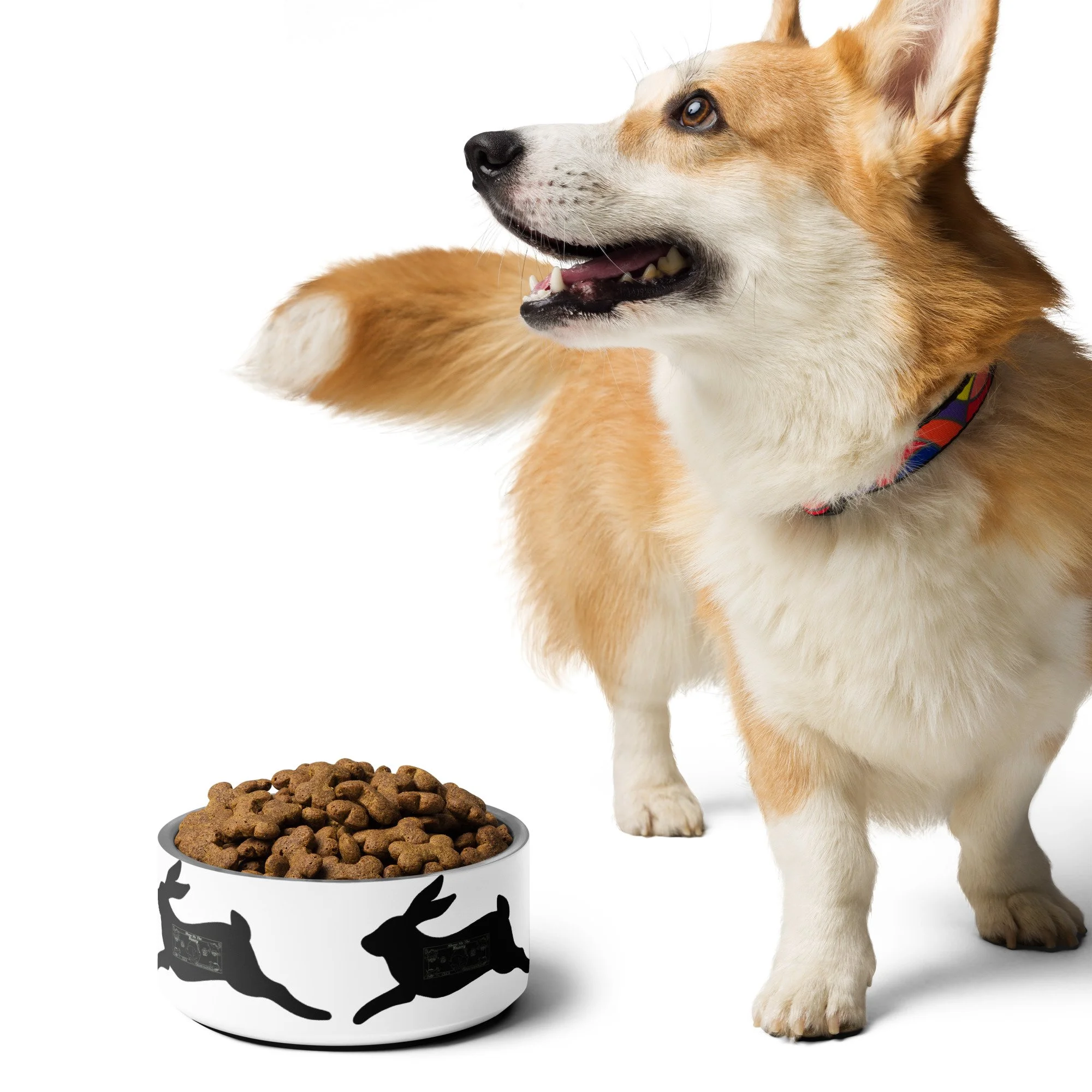 pet-bowl-white-32-oz-front-689e24cf3c5dc.jpg