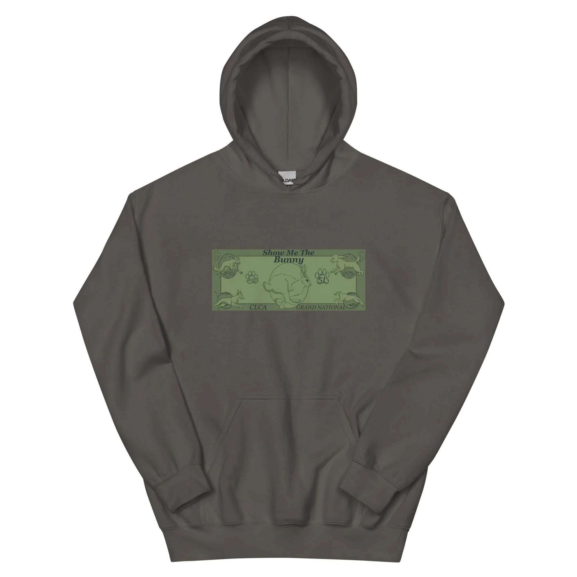unisex-heavy-blend-hoodie-charcoal-front-68a3aa877e232.jpg