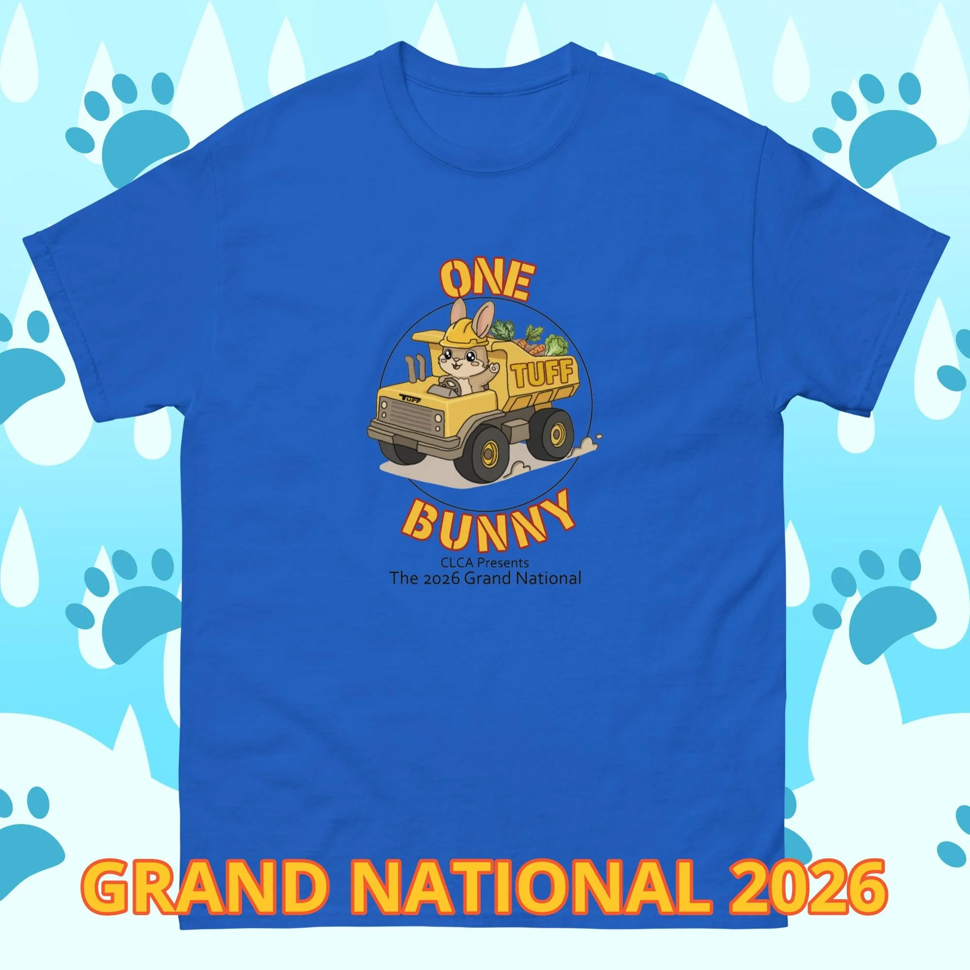 unisex-classic-tee-royal-front-6a58fe0ad5061.jpg
