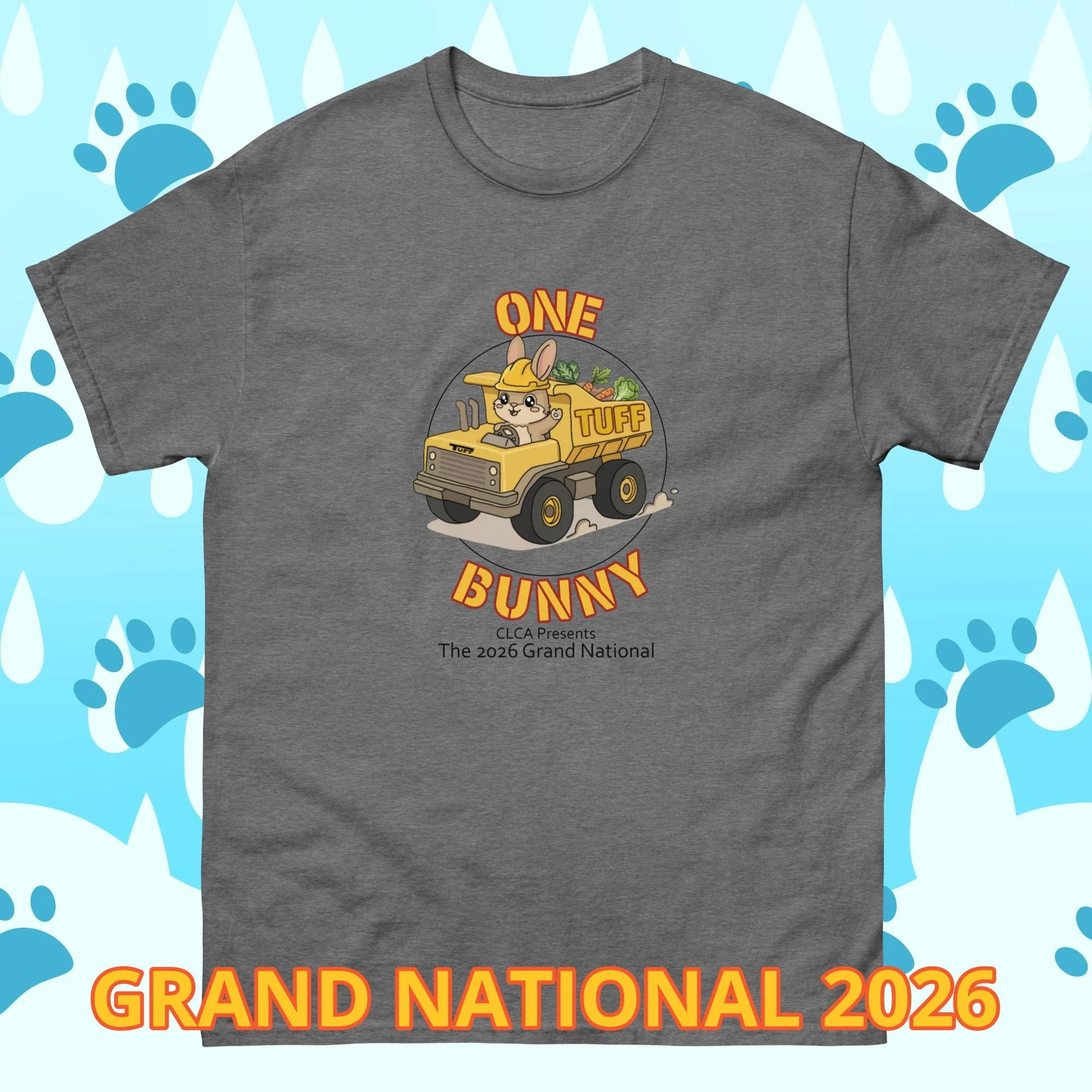unisex-classic-tee-graphite-heather-front-6a58fe0b0b668.jpg