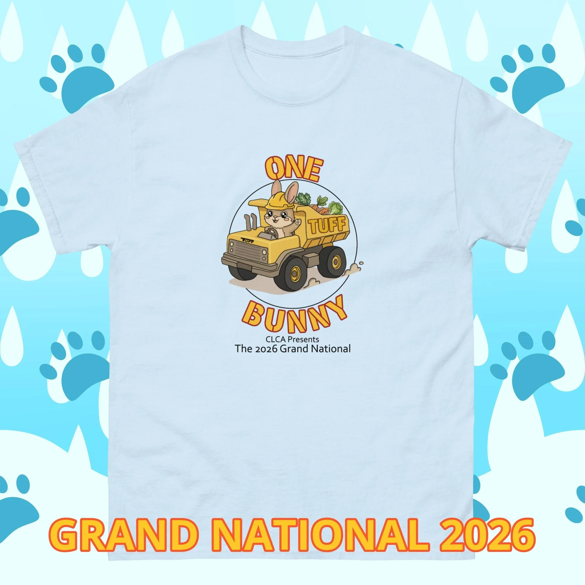 unisex-classic-tee-light-blue-front-6a58fe0ae0e39.jpg