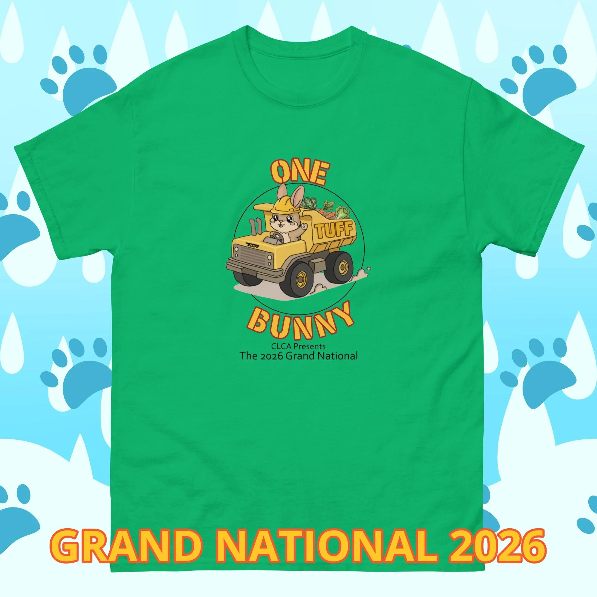unisex-classic-tee-irish-green-front-6a58fe7ccb9fb.jpg