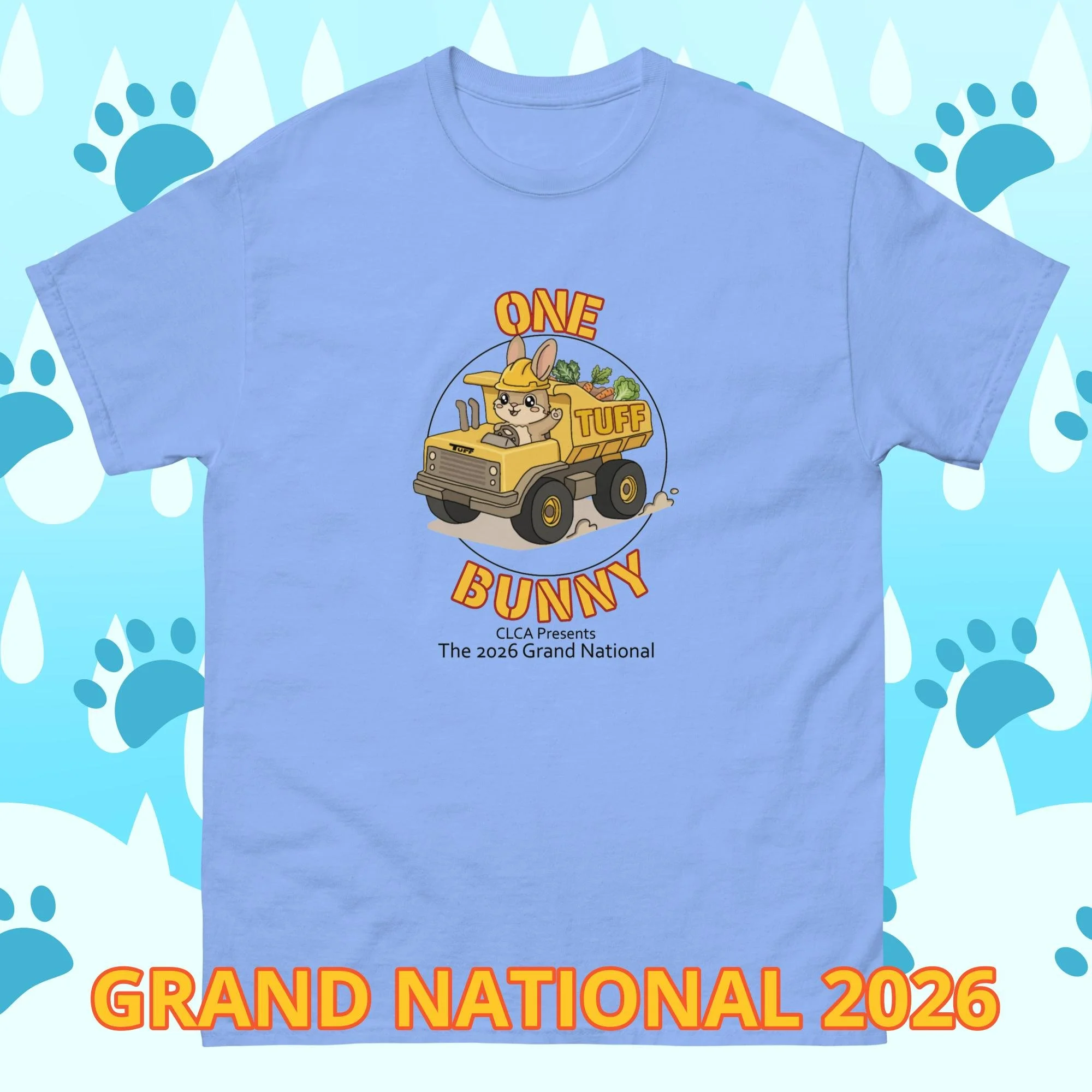 unisex-classic-tee-carolina-blue-front-6a58fe7cceb04.jpg