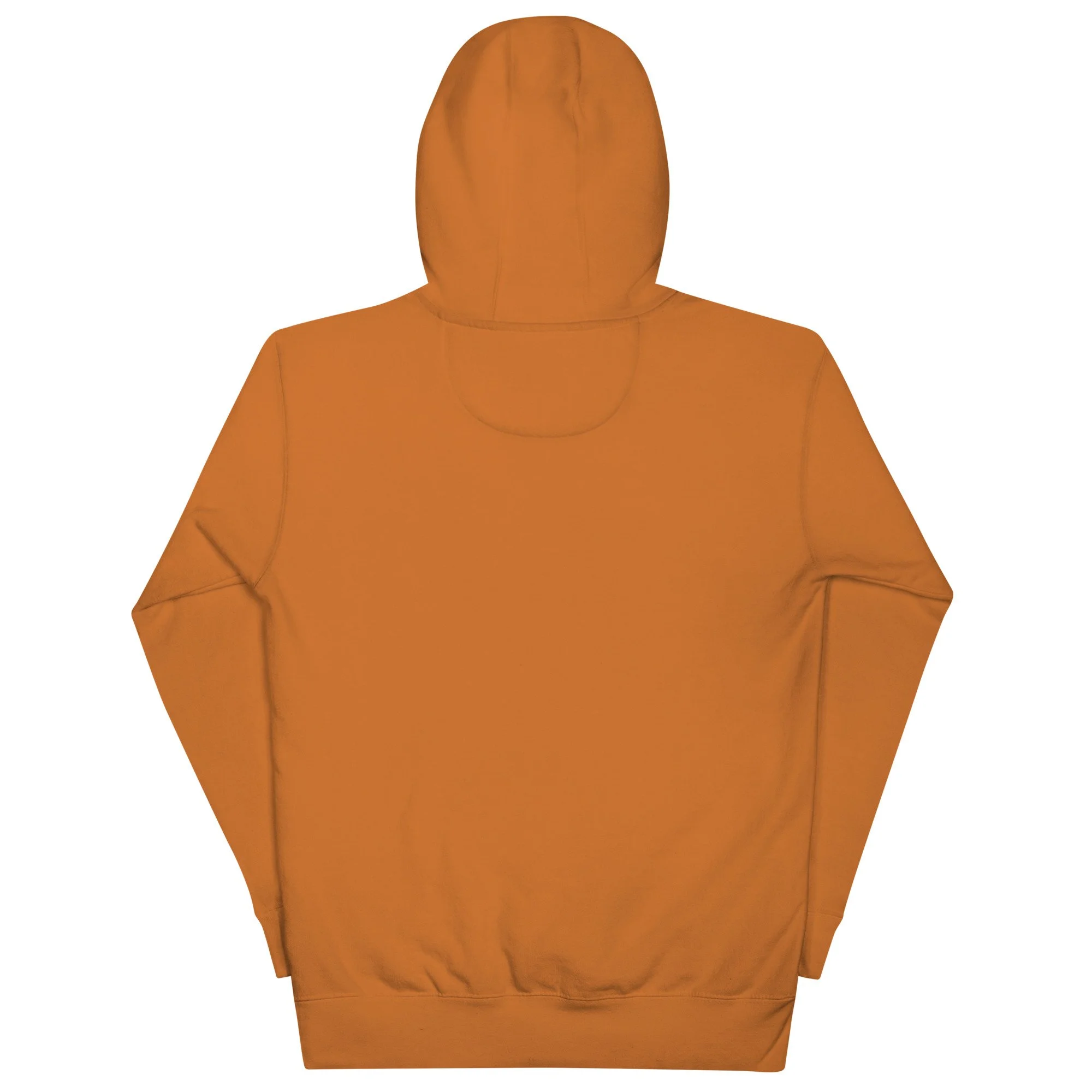 unisex-premium-pullover-hoodie-adobe-back-6a5aa3a89aa62.jpg