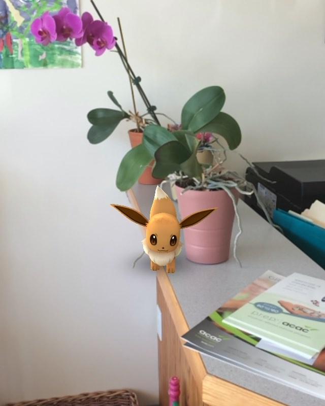 Eevee is right on time for her appointment today! #pokemongo #chiropractic #chiropractor #Charlottesville #cville #charlottesvilleva #massage