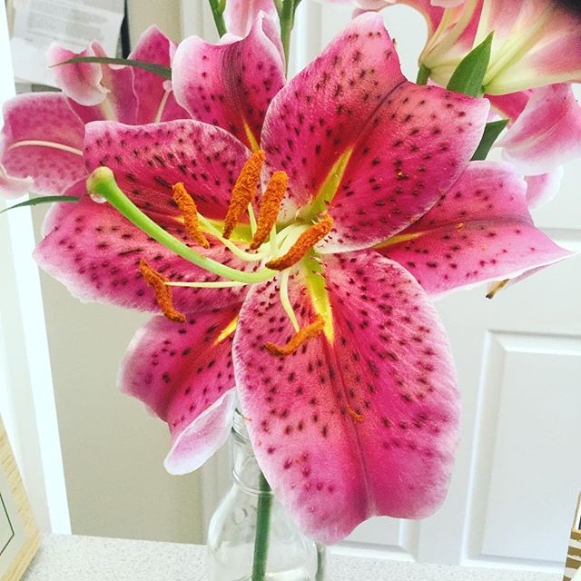 Wishing everyone a beautiful Friday and a safe weekend! #Friday #lily